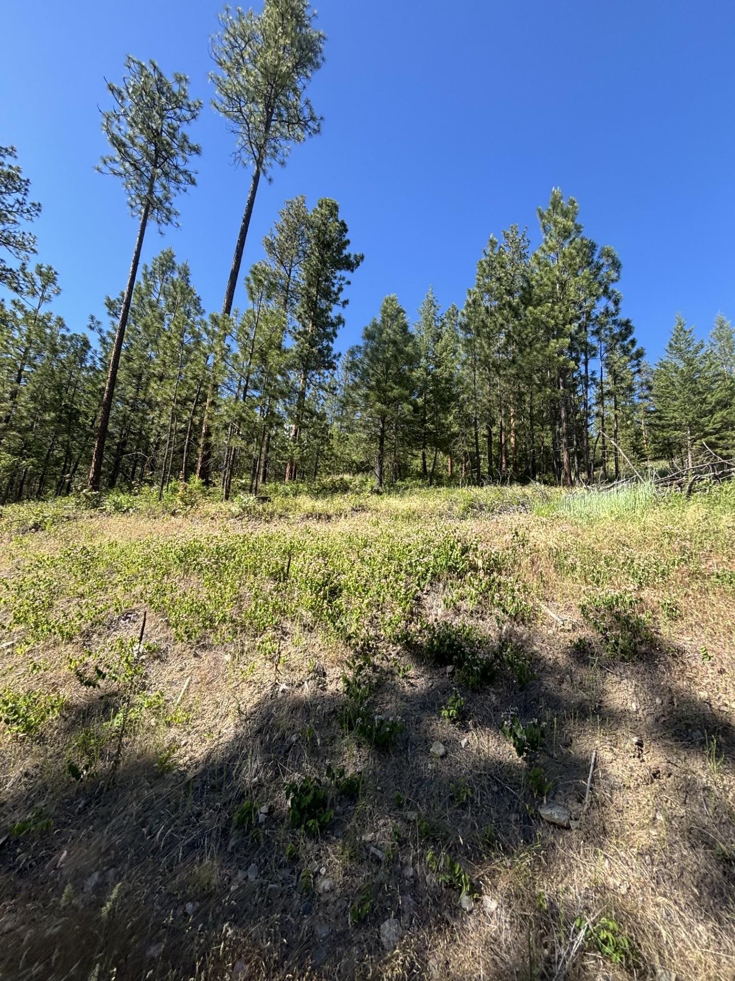 2392 Cozy Nook Rd - Photo 9