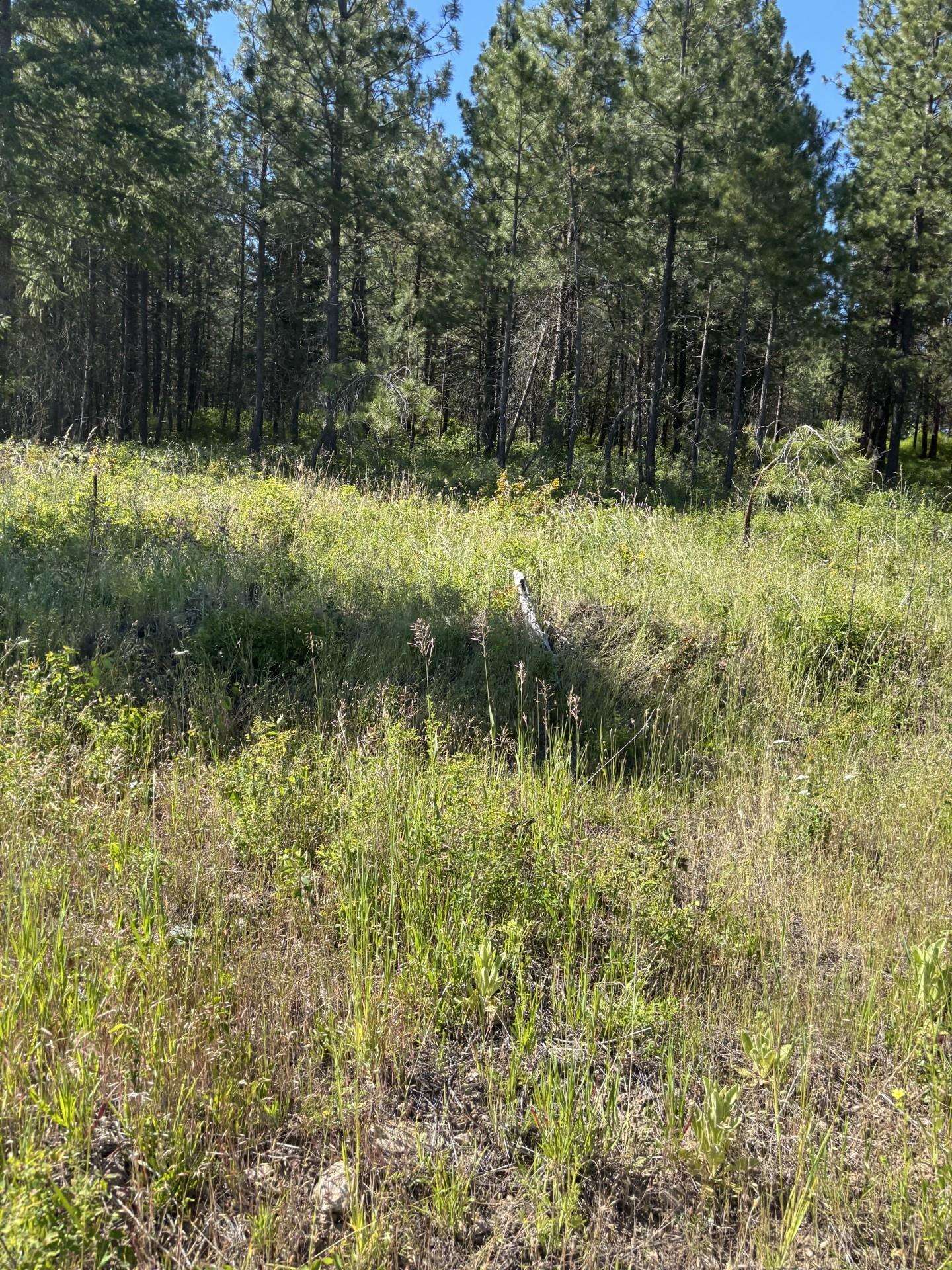 2392 Cozy Nook Rd - Photo 10