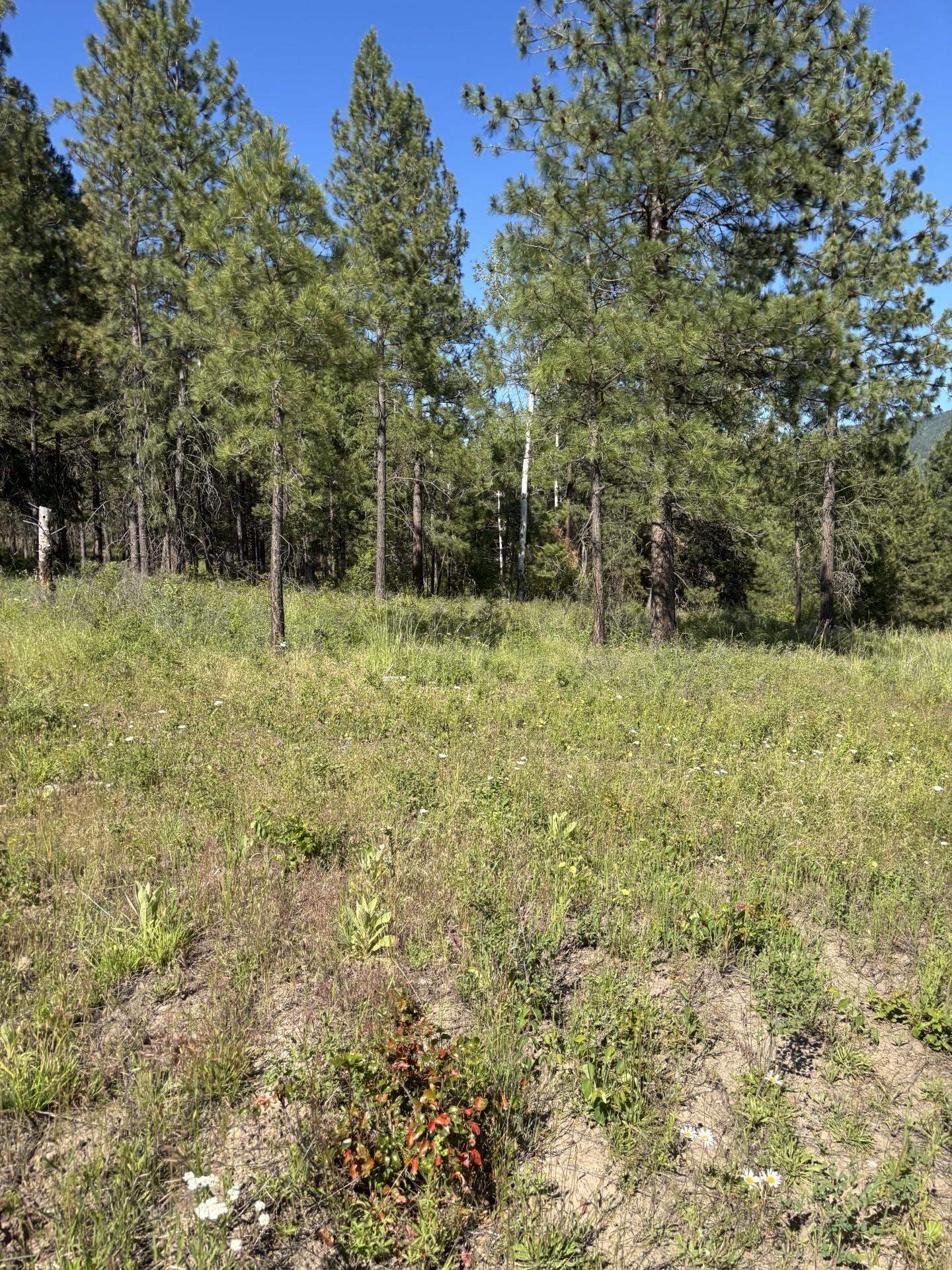 2392 Cozy Nook Rd - Photo 11