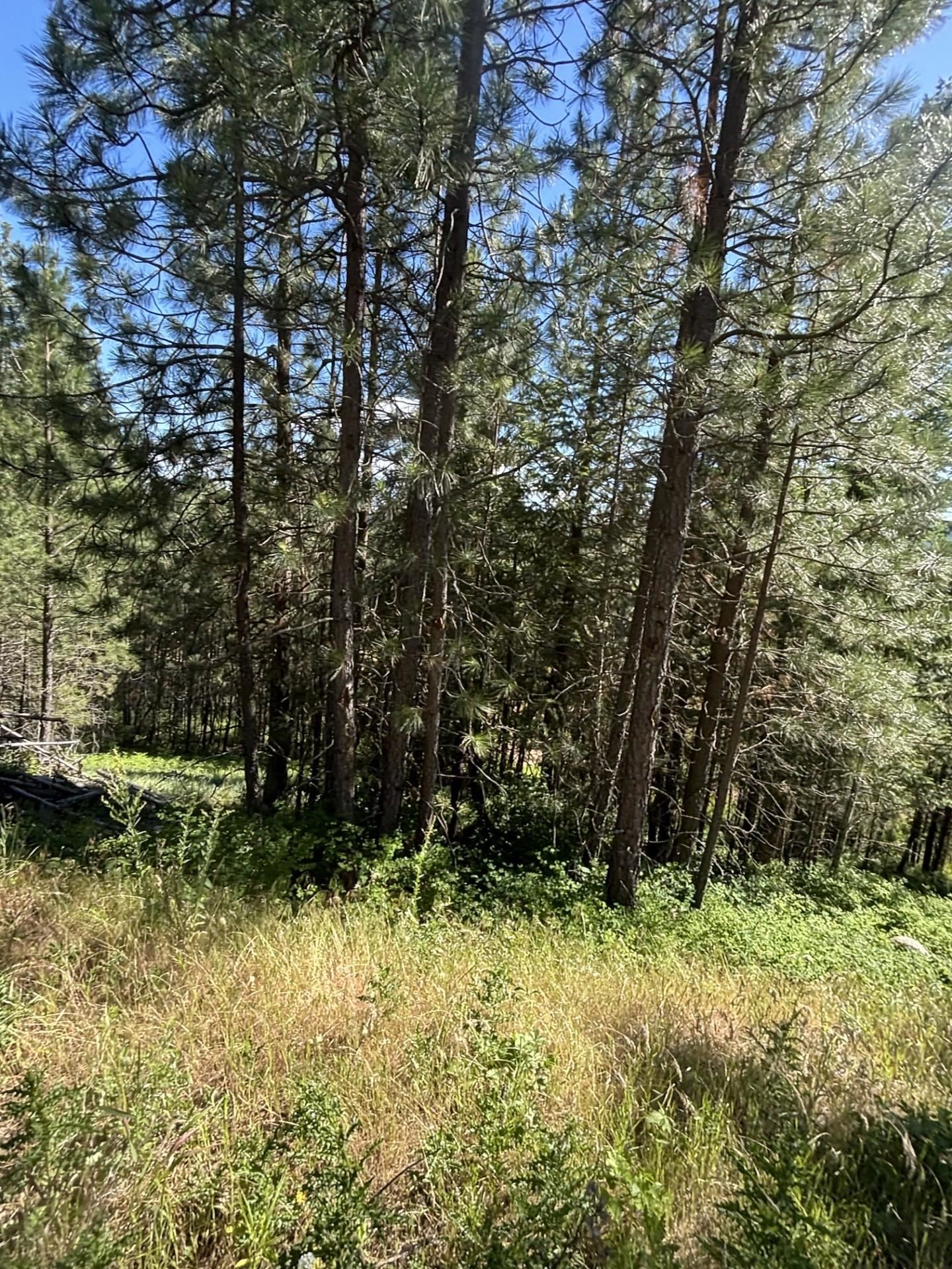 2392 Cozy Nook Rd - Photo 12
