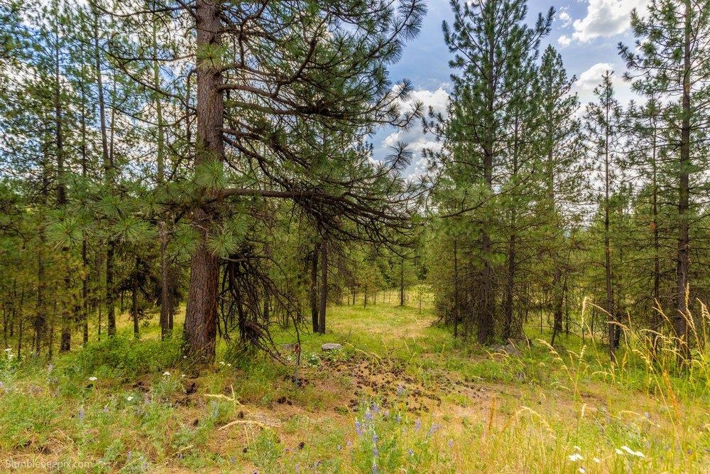 25004 N Madison Rd - Photo 27