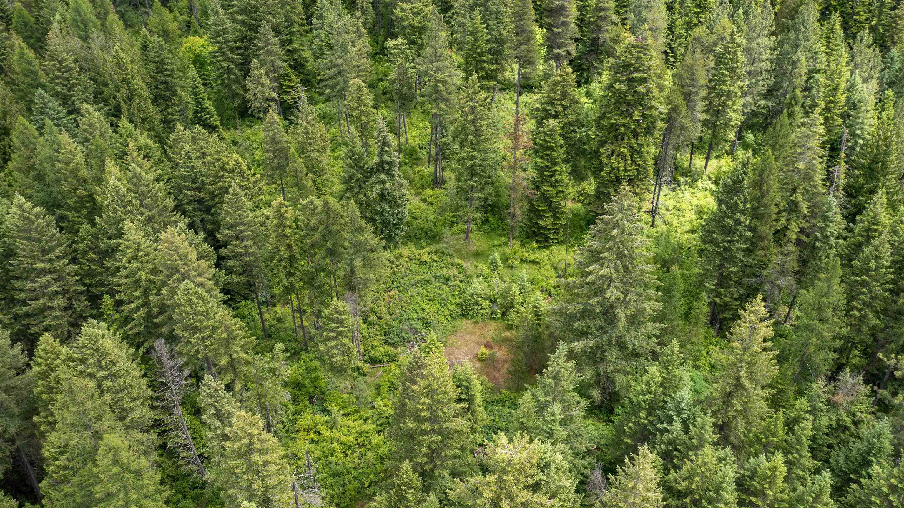 NKA Deer Ln - Photo 1