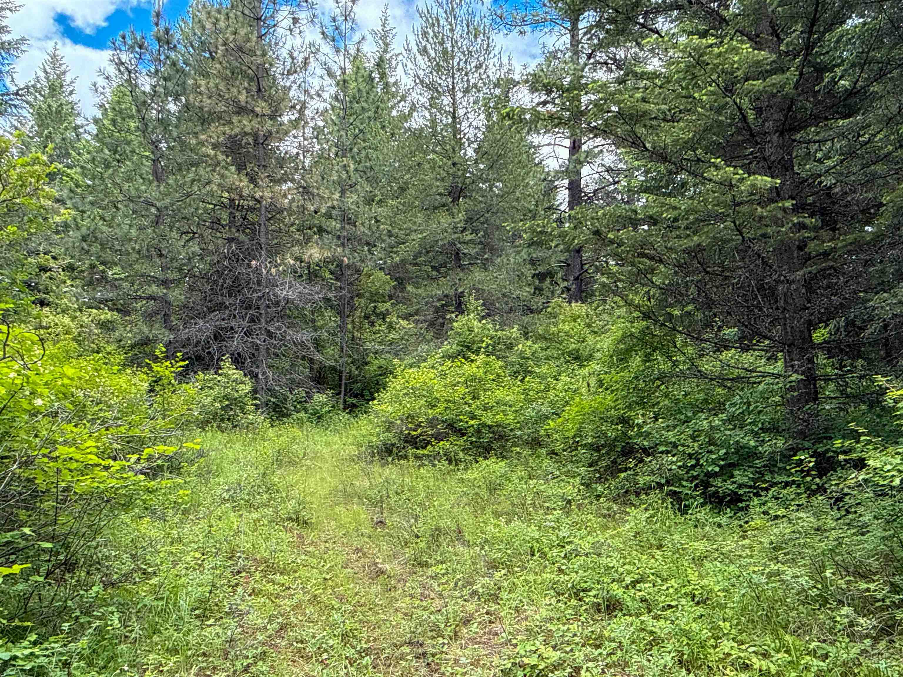 NKA Deer Ln - Photo 2
