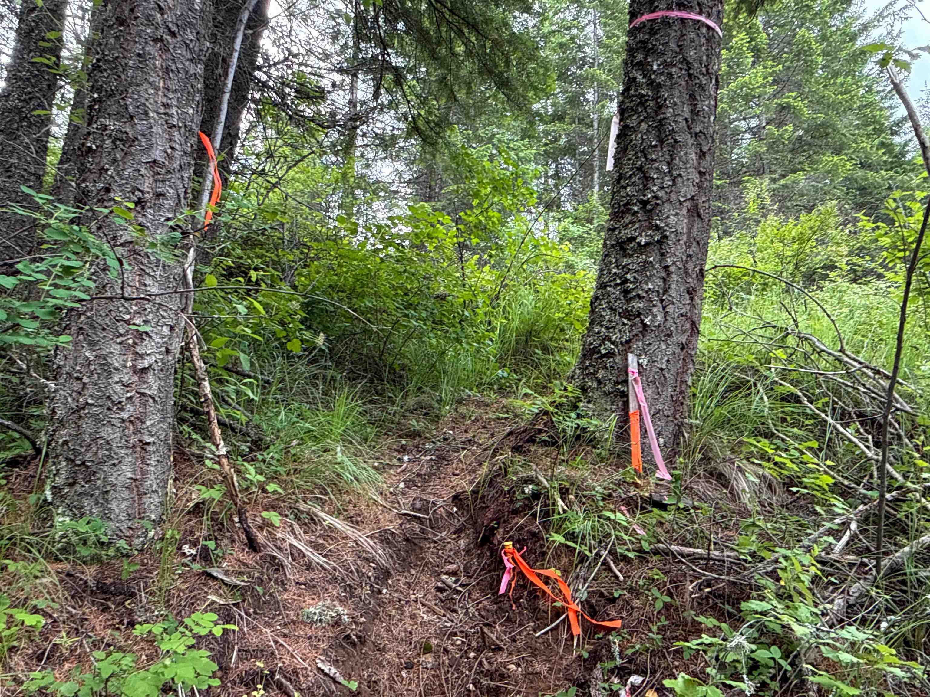 NKA Deer Ln - Photo 3