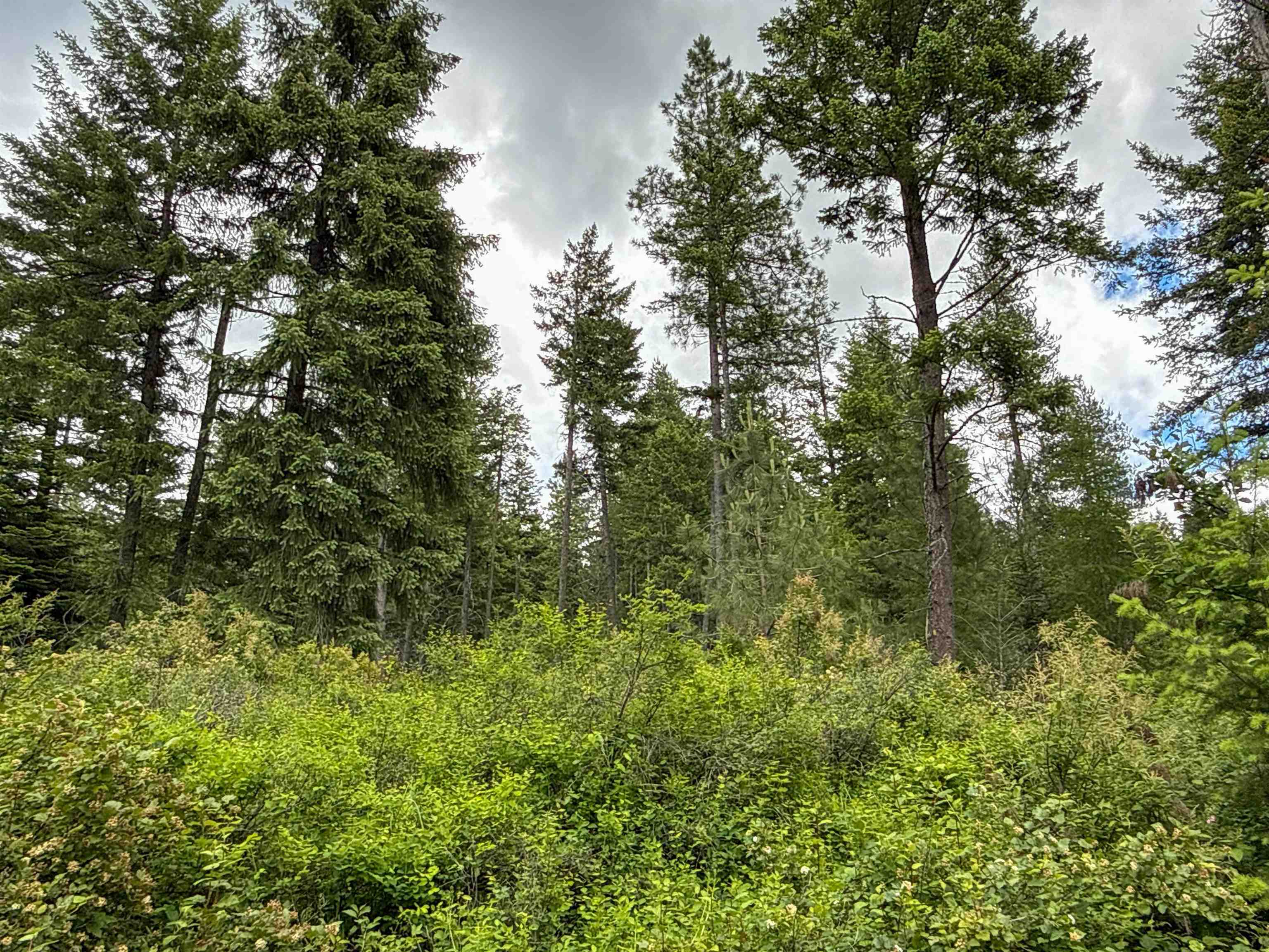 NKA Deer Ln - Photo 4