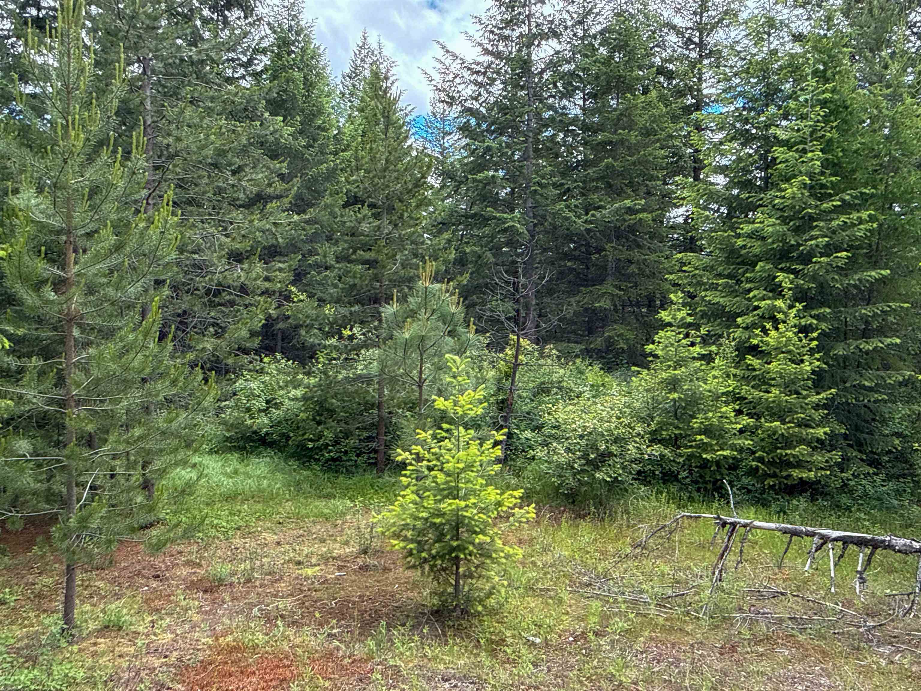 NKA Deer Ln - Photo 5