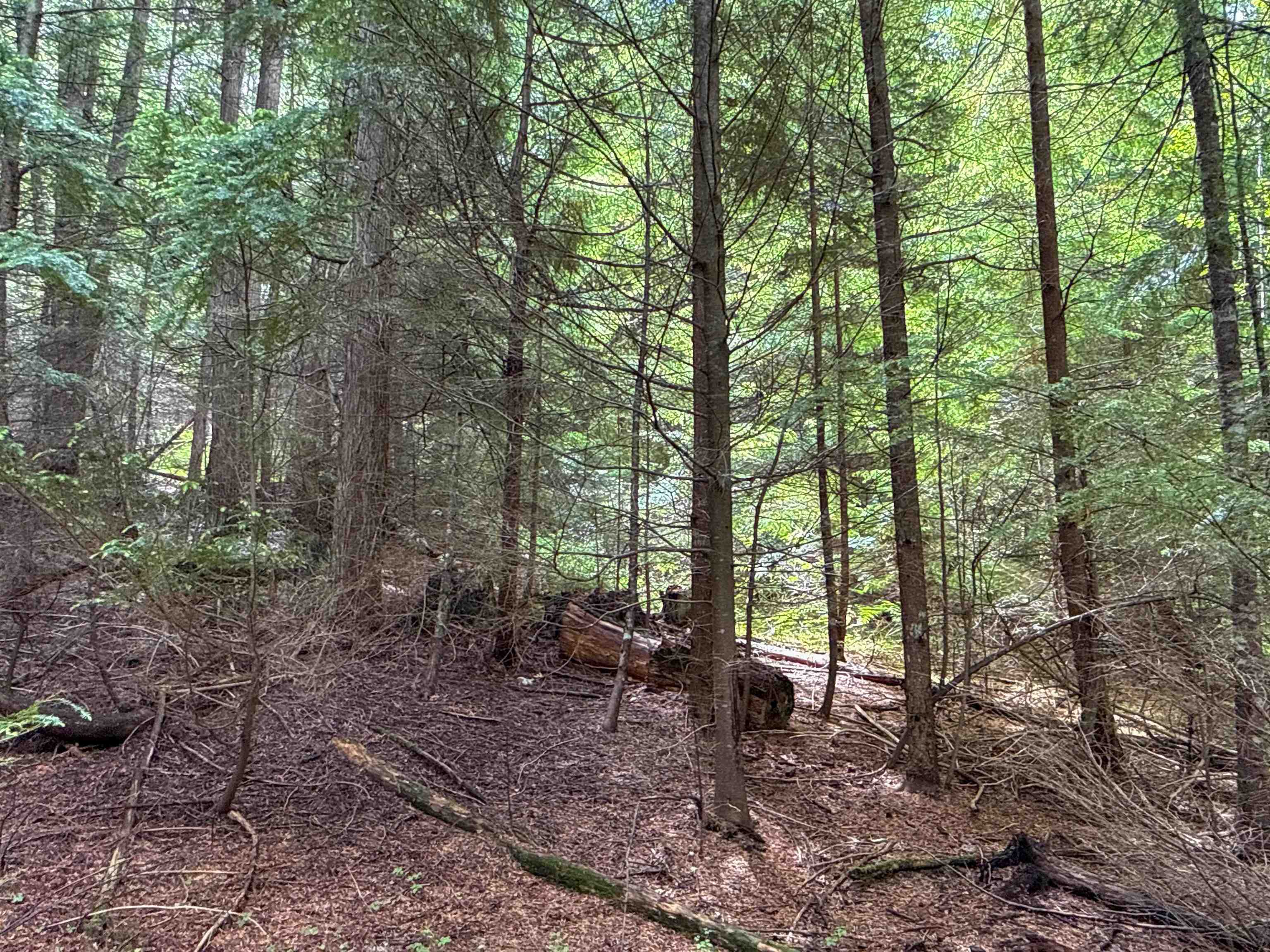 NKA Deer Ln - Photo 7