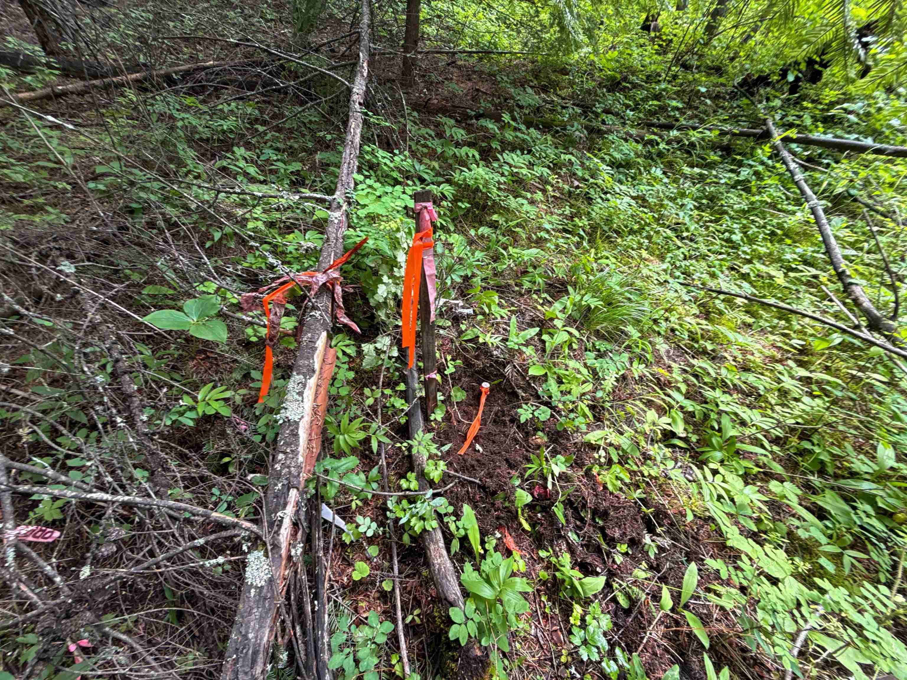 NKA Deer Ln - Photo 8