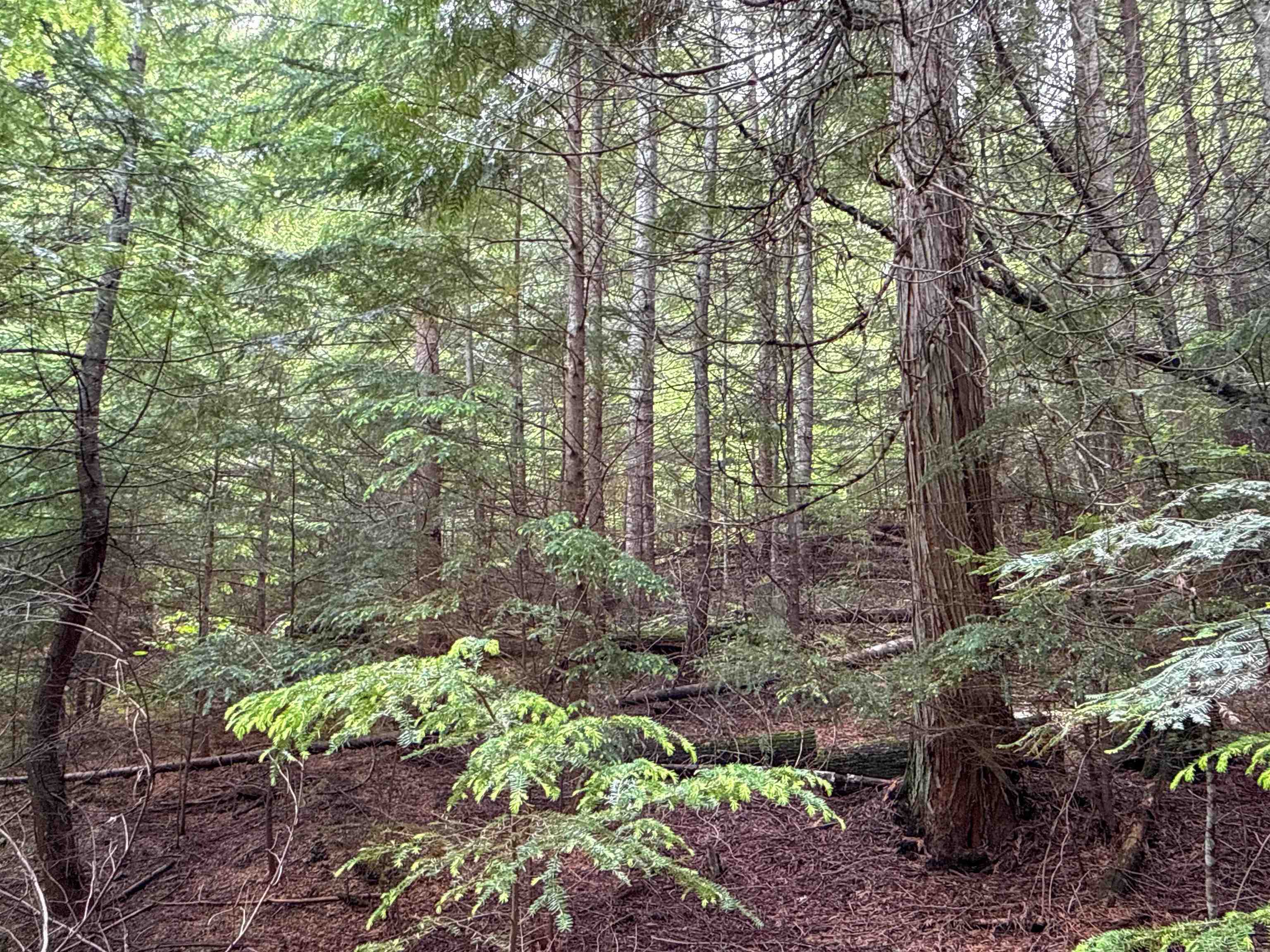 NKA Deer Ln - Photo 9