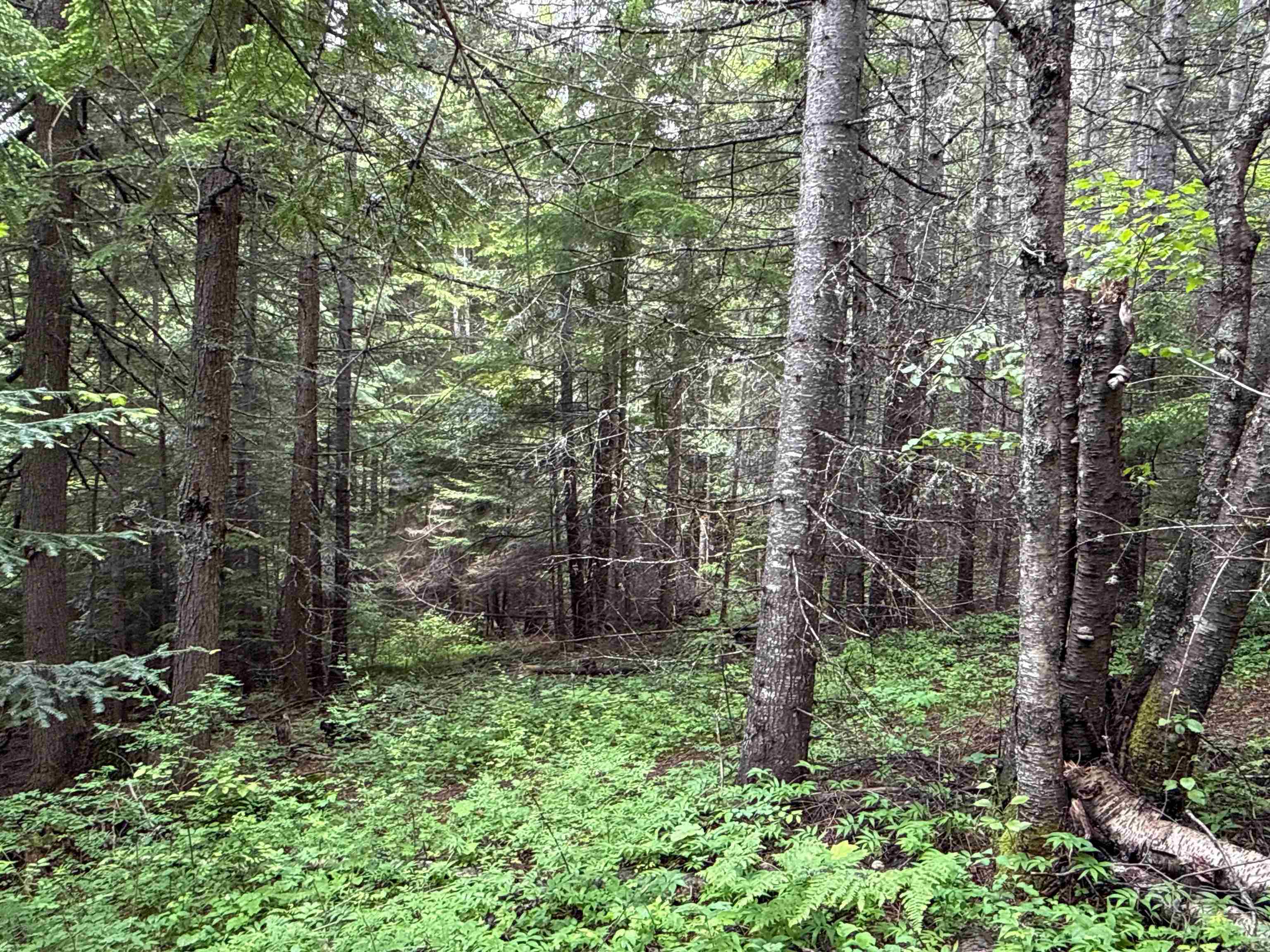 NKA Deer Ln - Photo 10