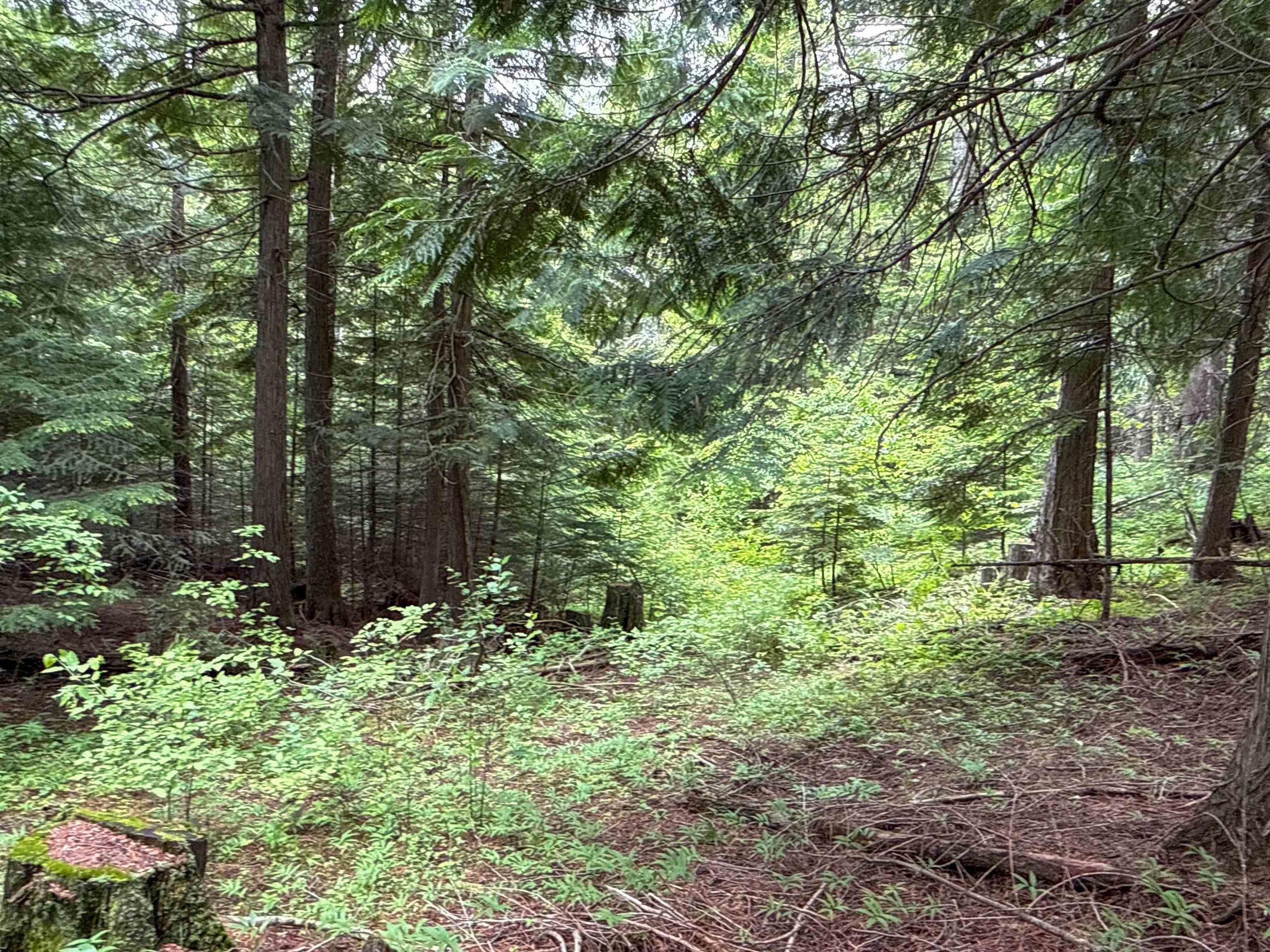 NKA Deer Ln - Photo 11