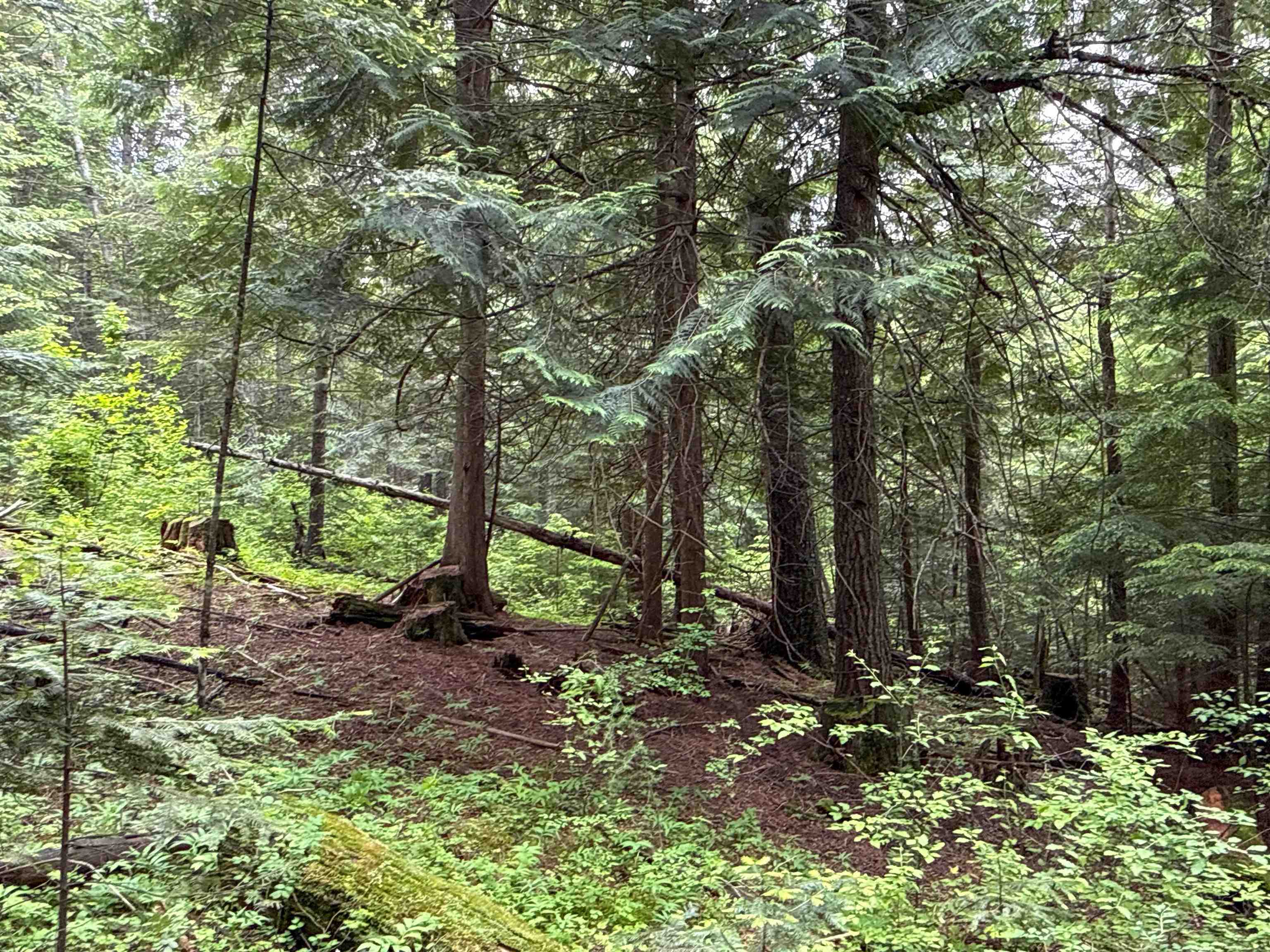 NKA Deer Ln - Photo 12