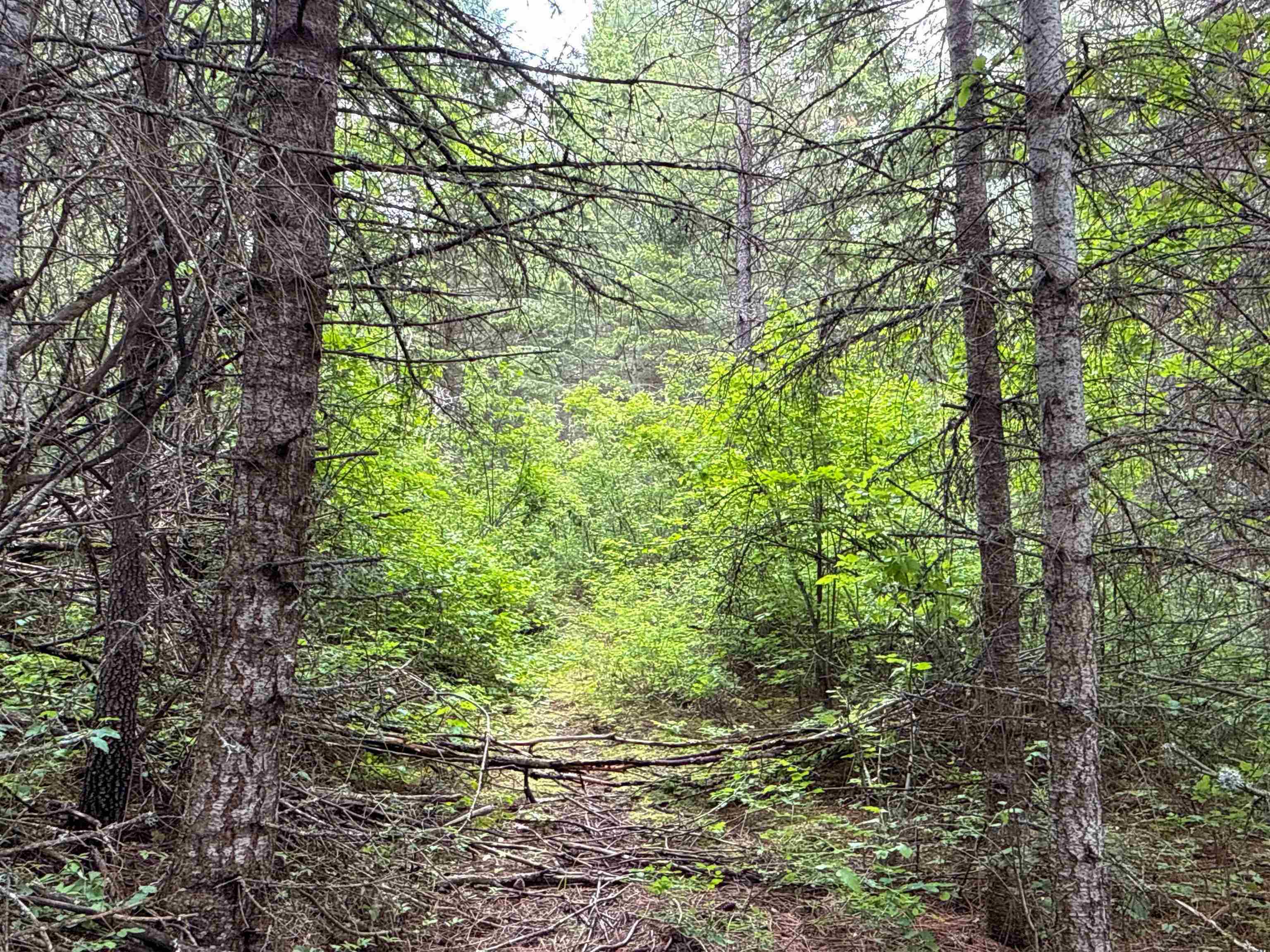 NKA Deer Ln - Photo 13