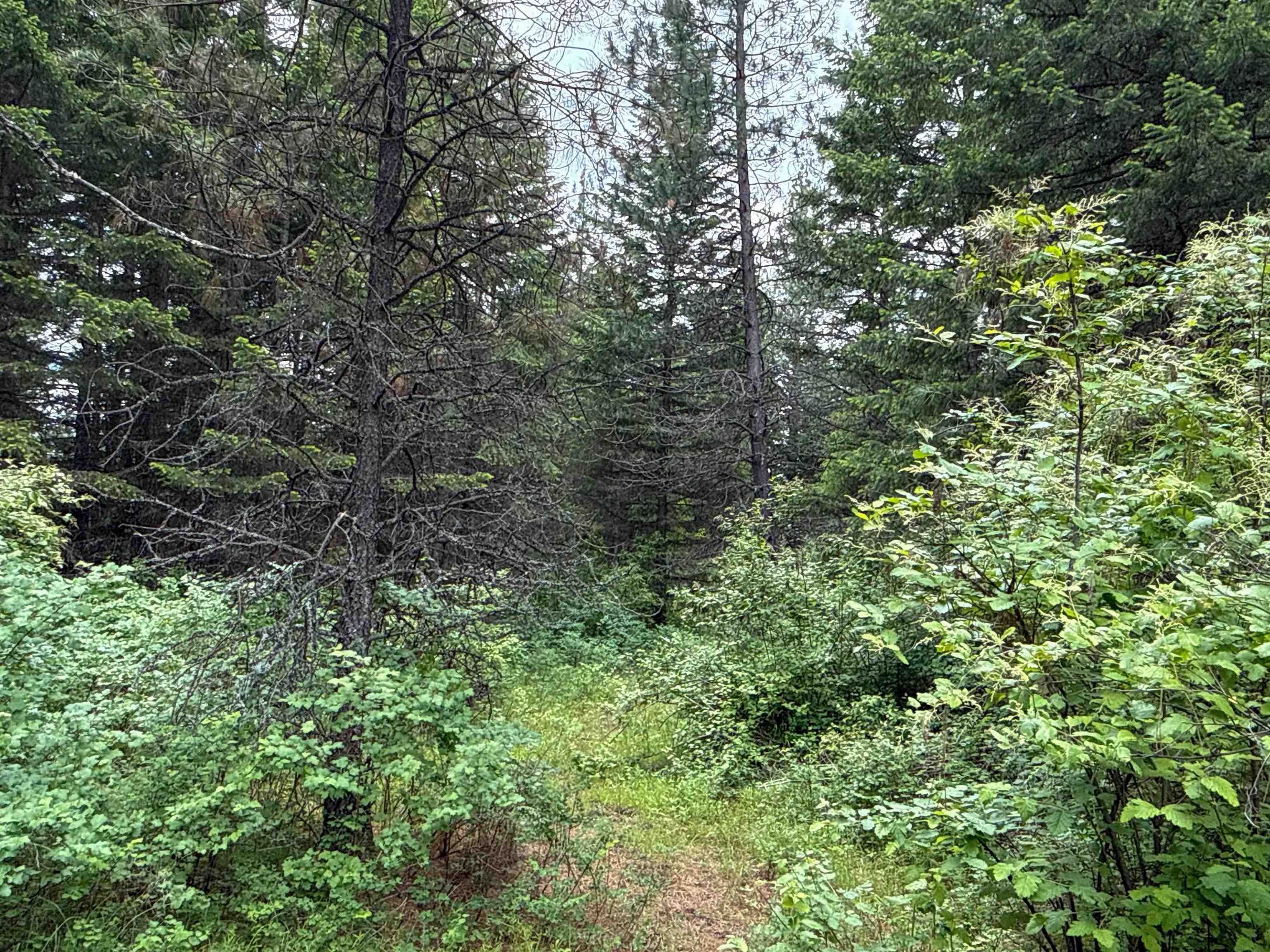 NKA Deer Ln - Photo 16