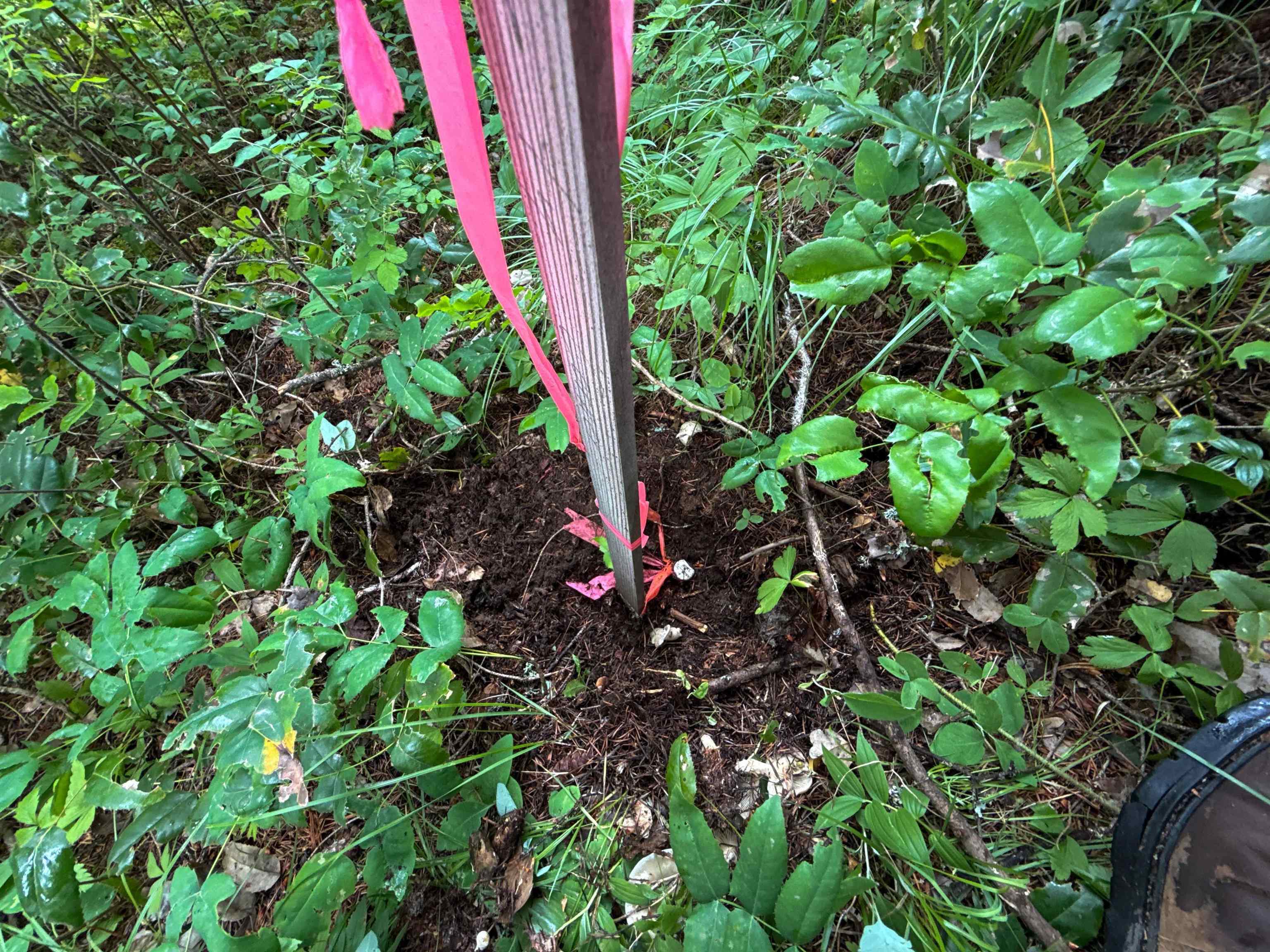 NKA Deer Ln - Photo 17