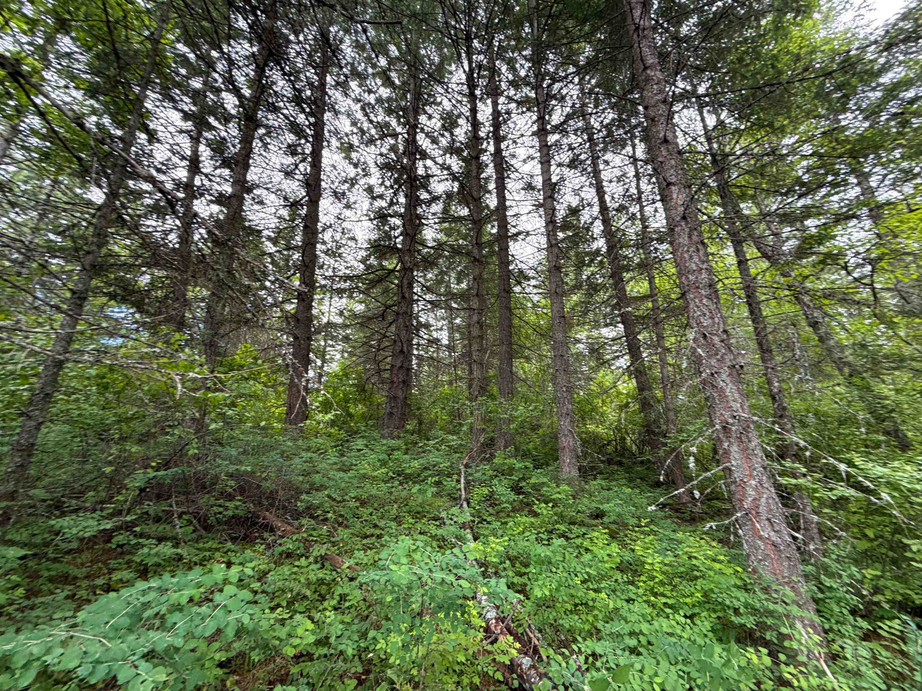 NKA Deer Ln - Photo 18