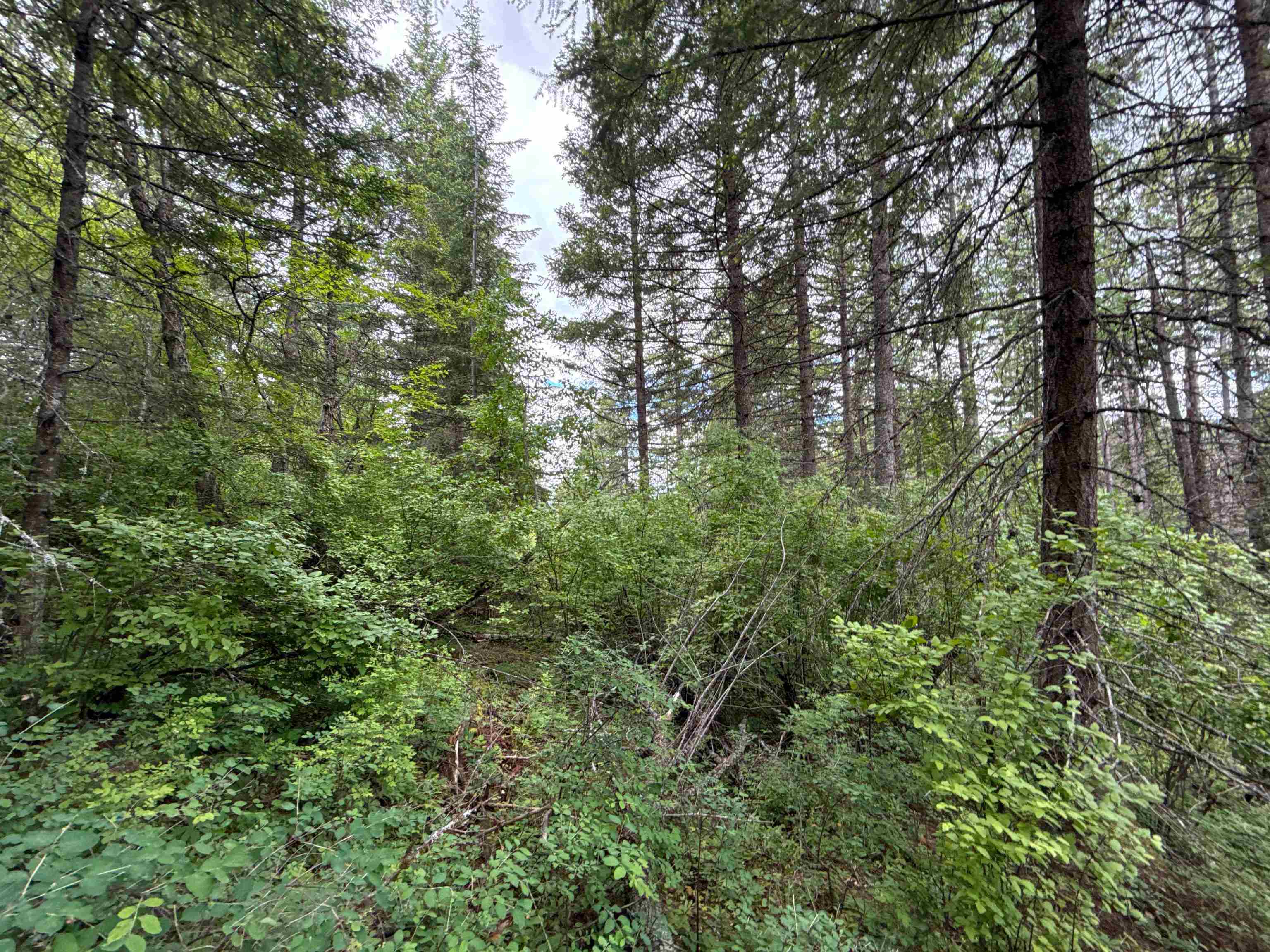 NKA Deer Ln - Photo 19