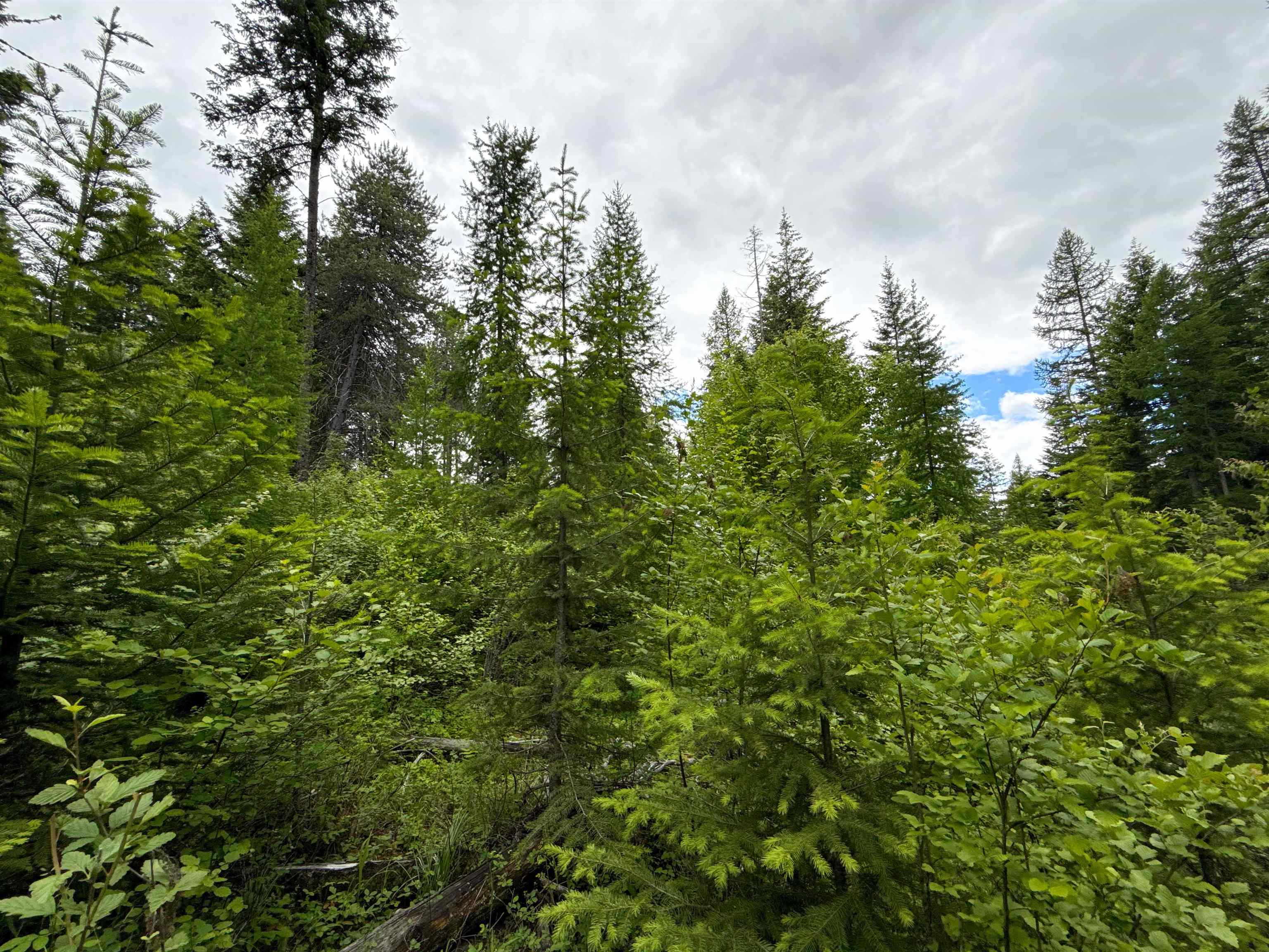 NKA Deer Ln - Photo 20