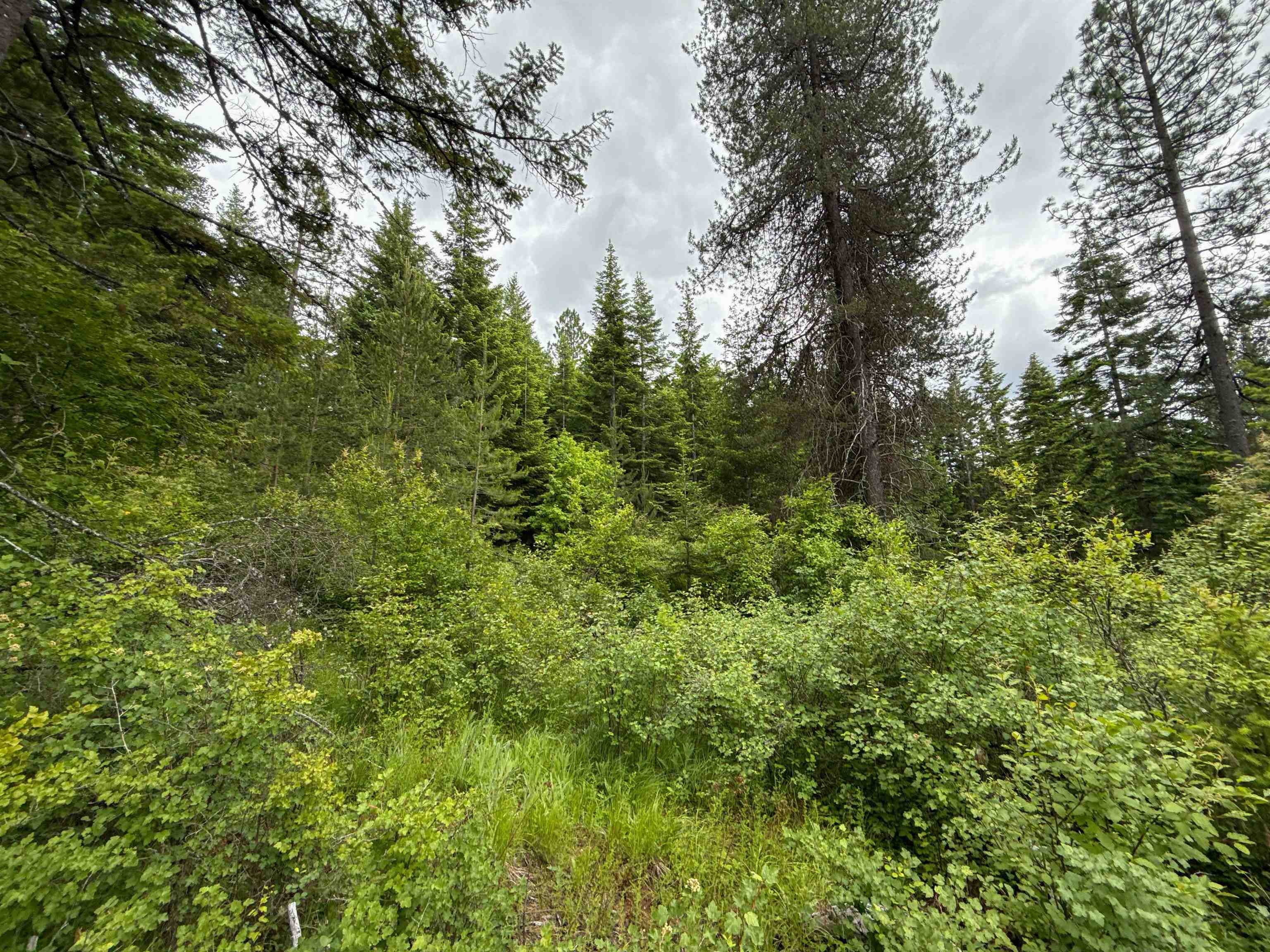 NKA Deer Ln - Photo 21