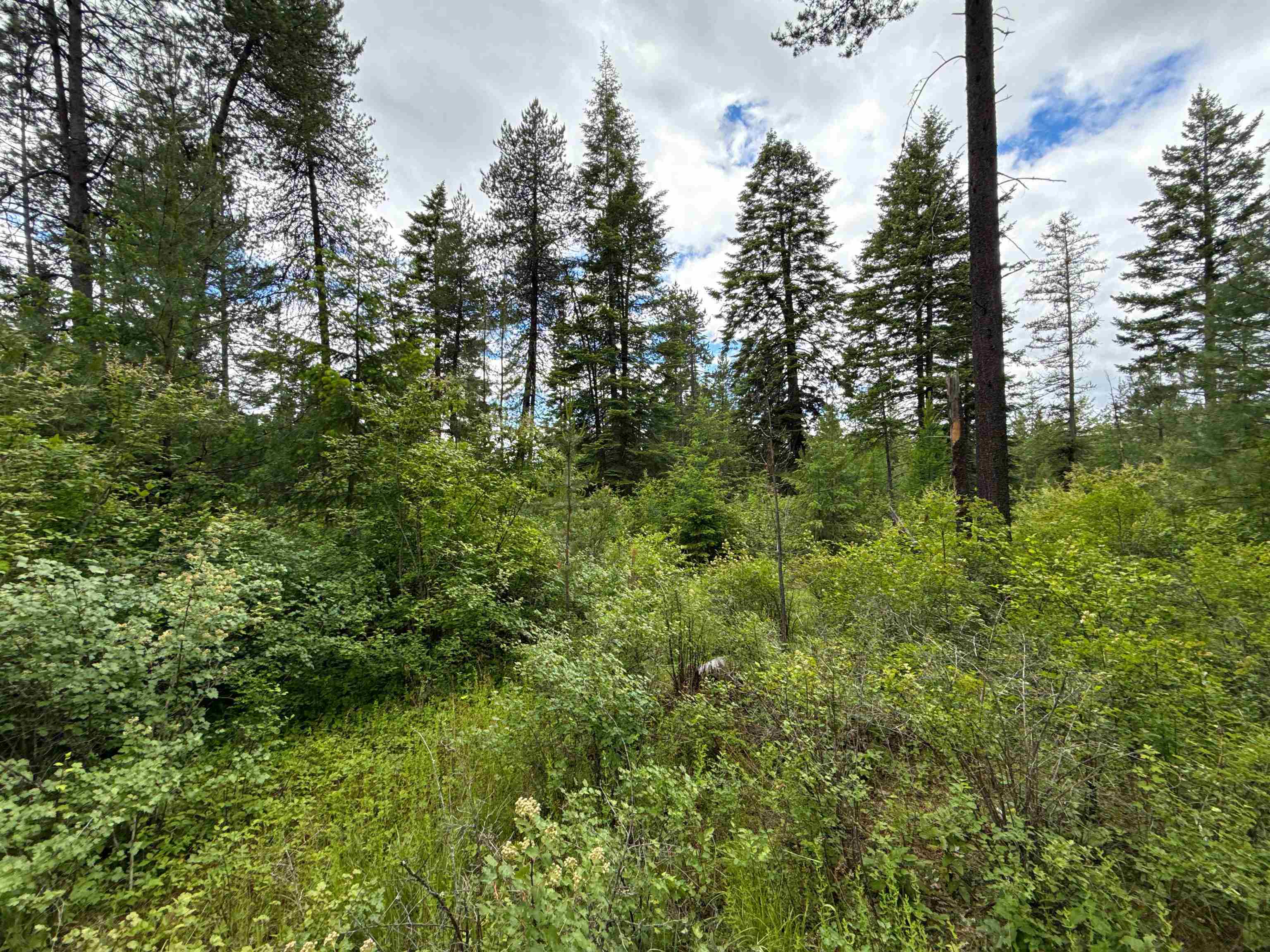 NKA Deer Ln - Photo 22