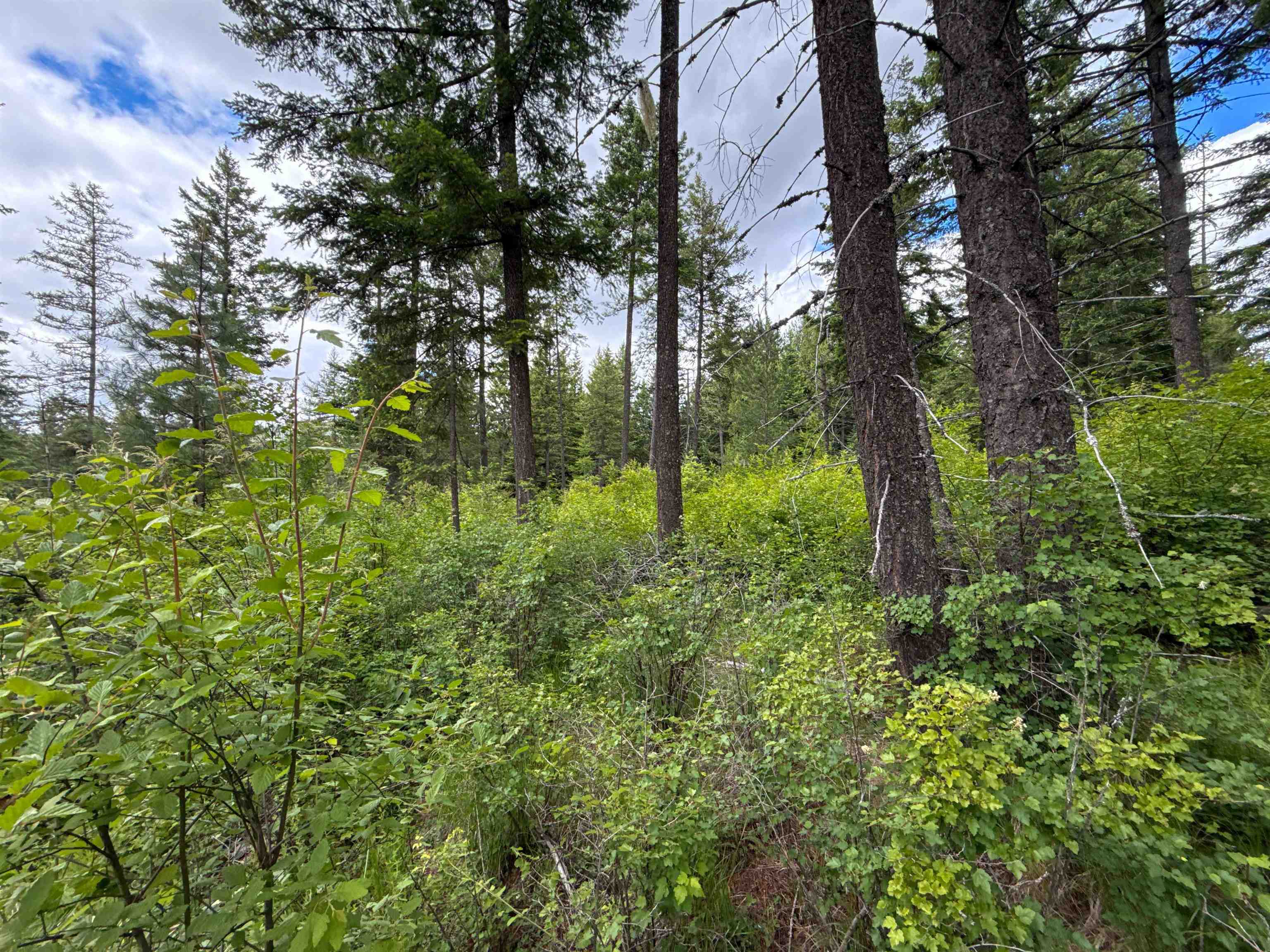 NKA Deer Ln - Photo 23