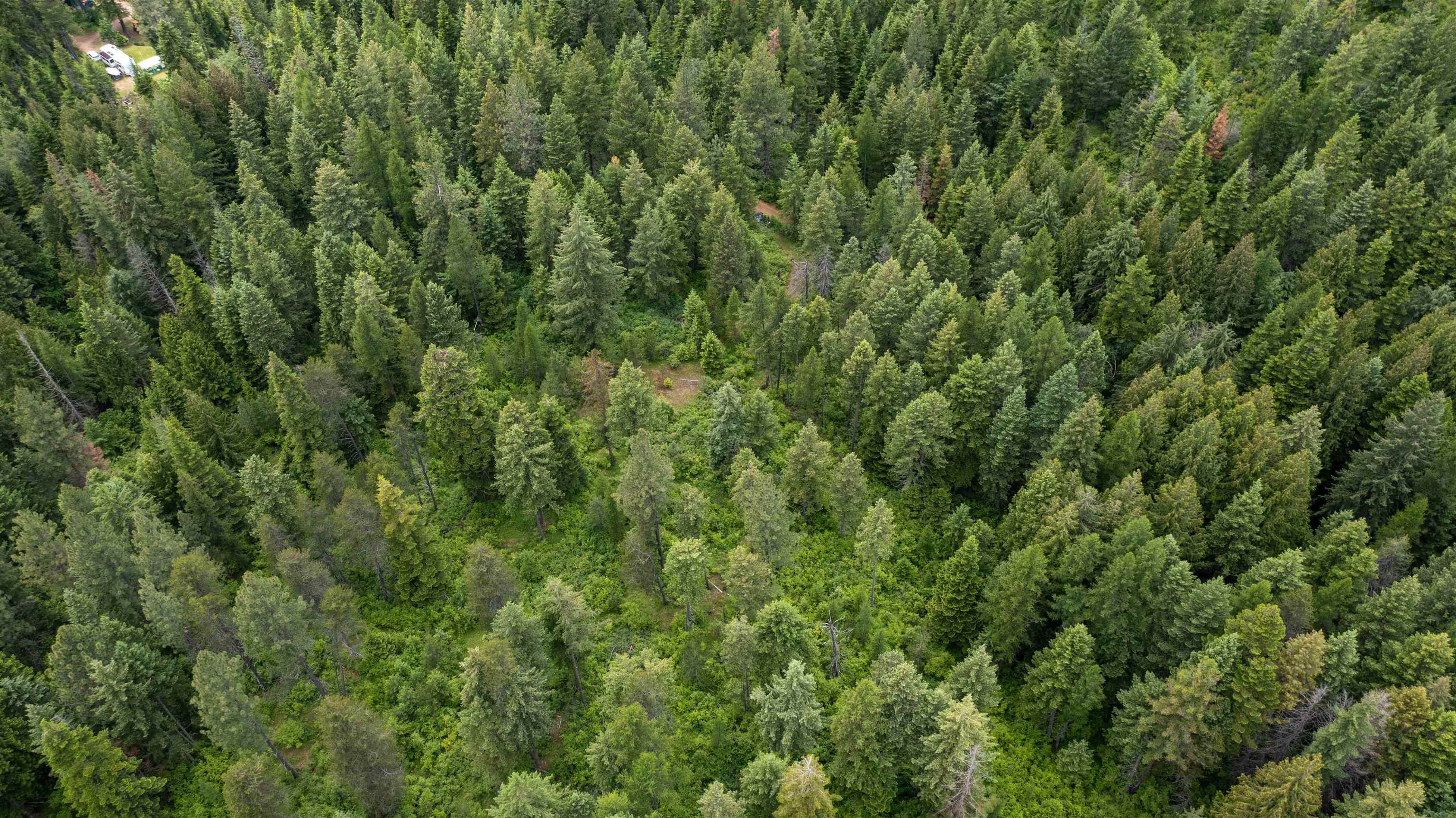 NKA Deer Ln - Photo 25