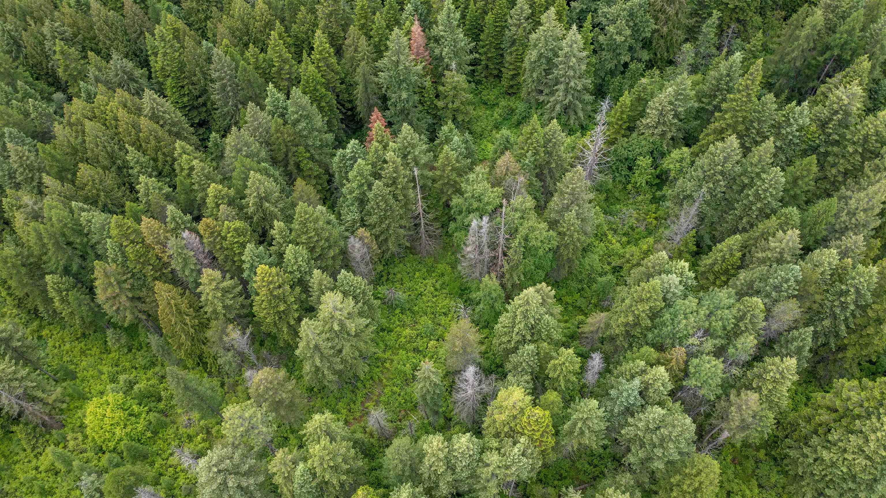NKA Deer Ln - Photo 26