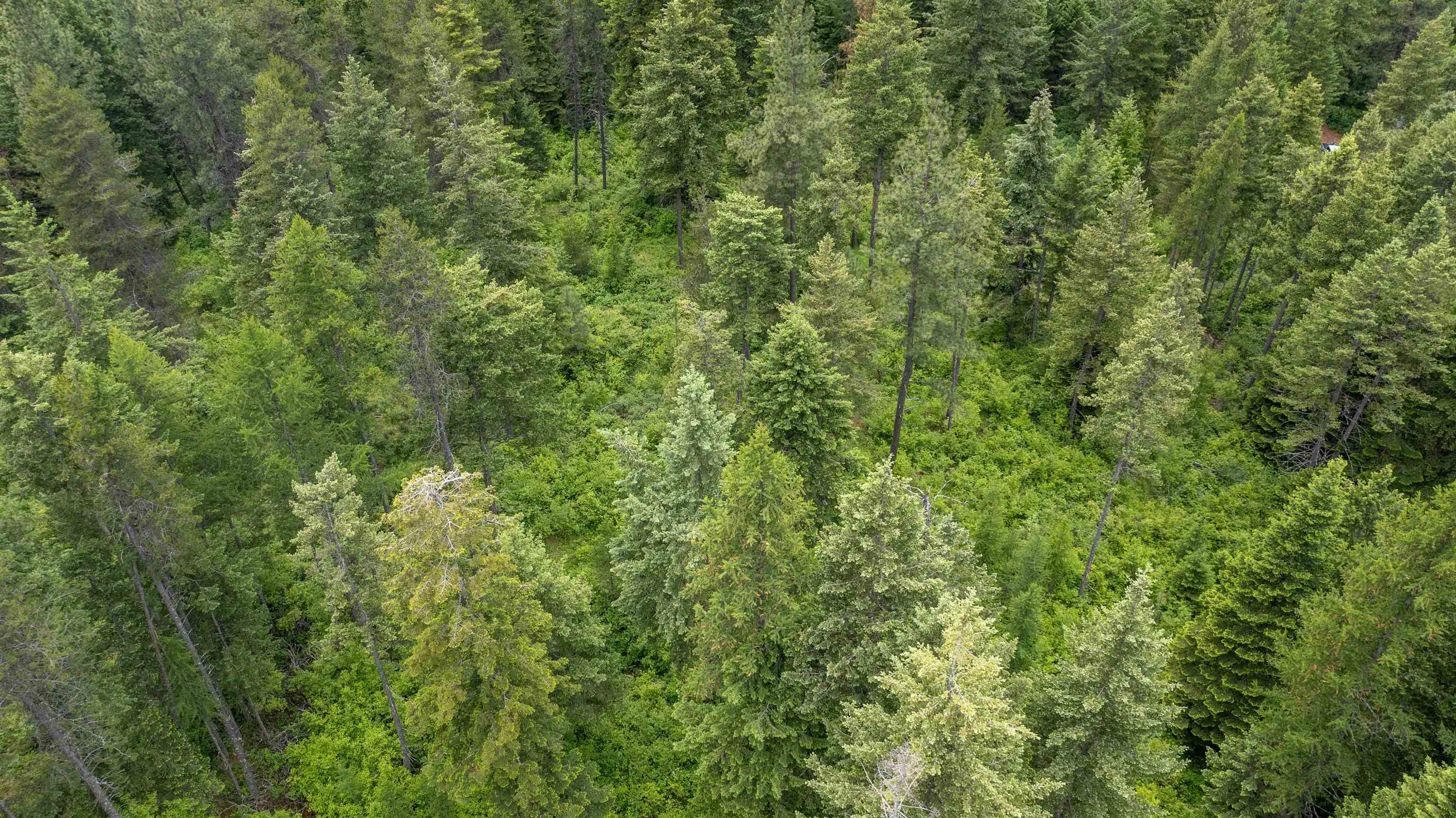 NKA Deer Ln - Photo 27