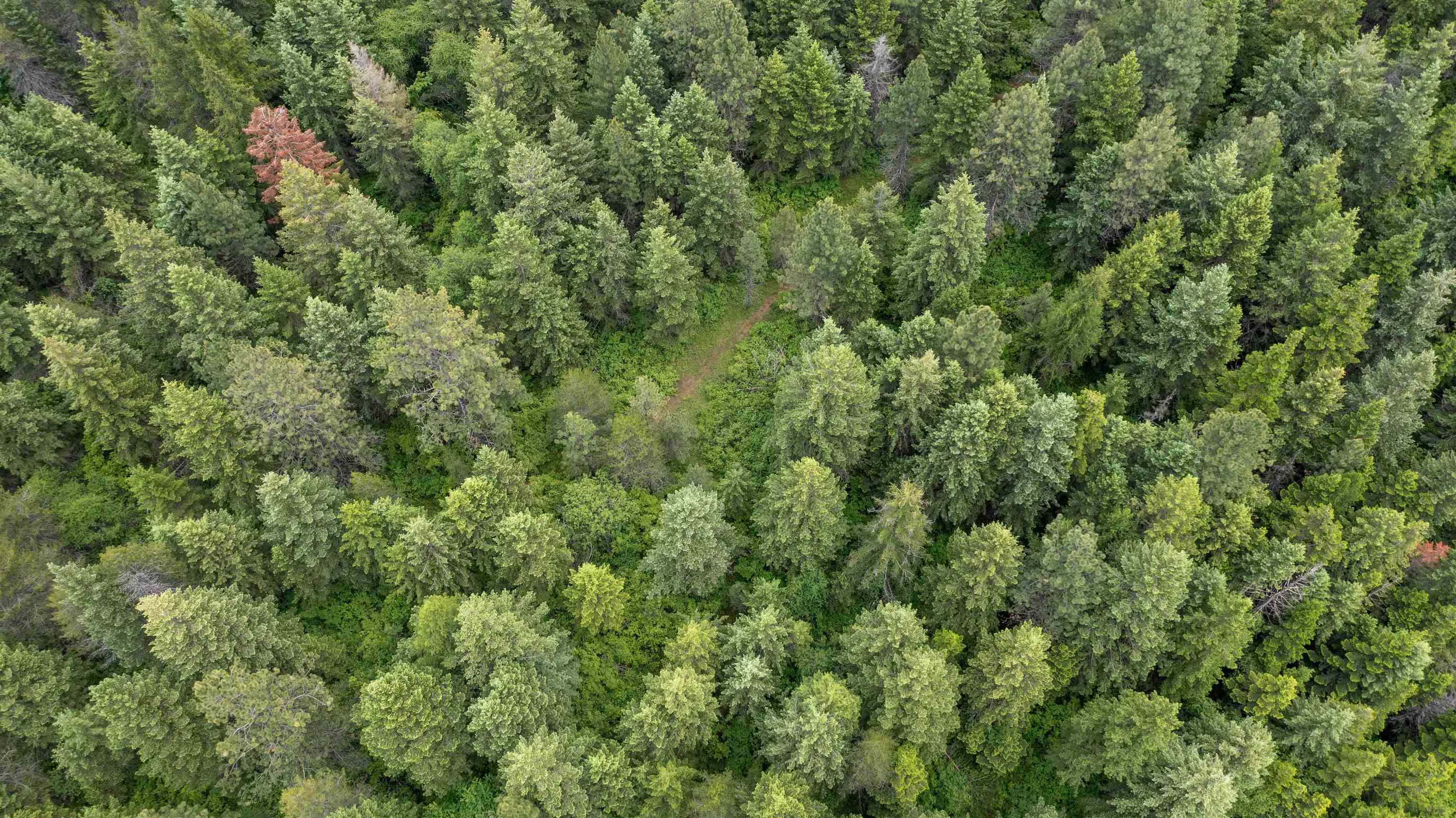 NKA Deer Ln - Photo 29