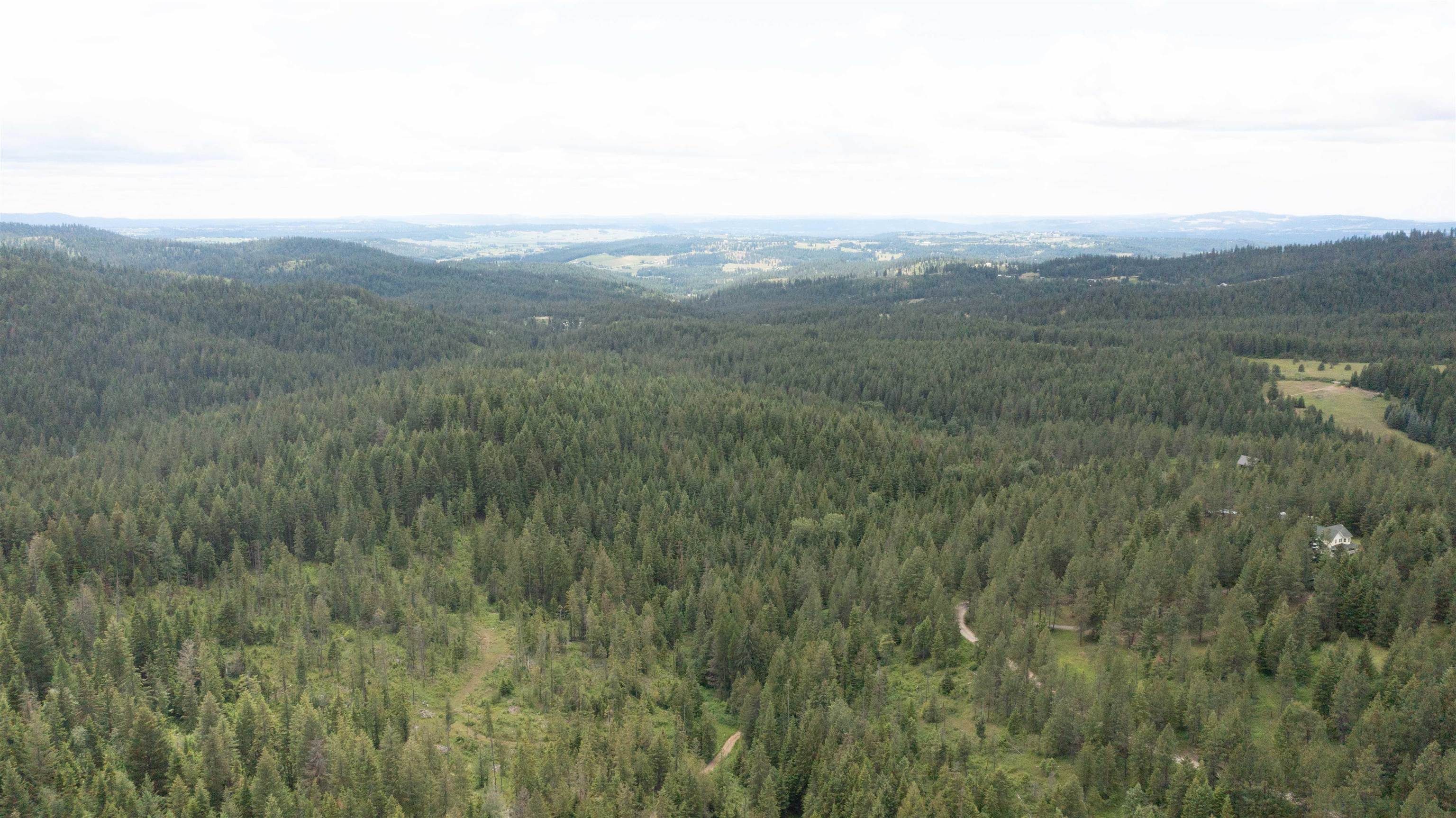 NKA Deer Ln - Photo 32