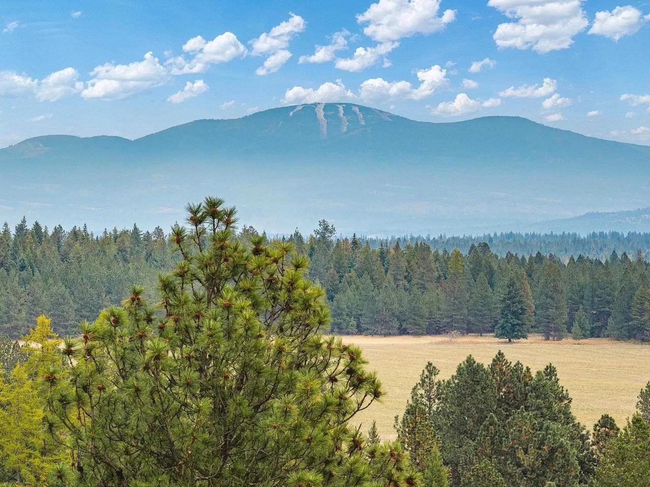 688 Duffer Loop - Photo 4