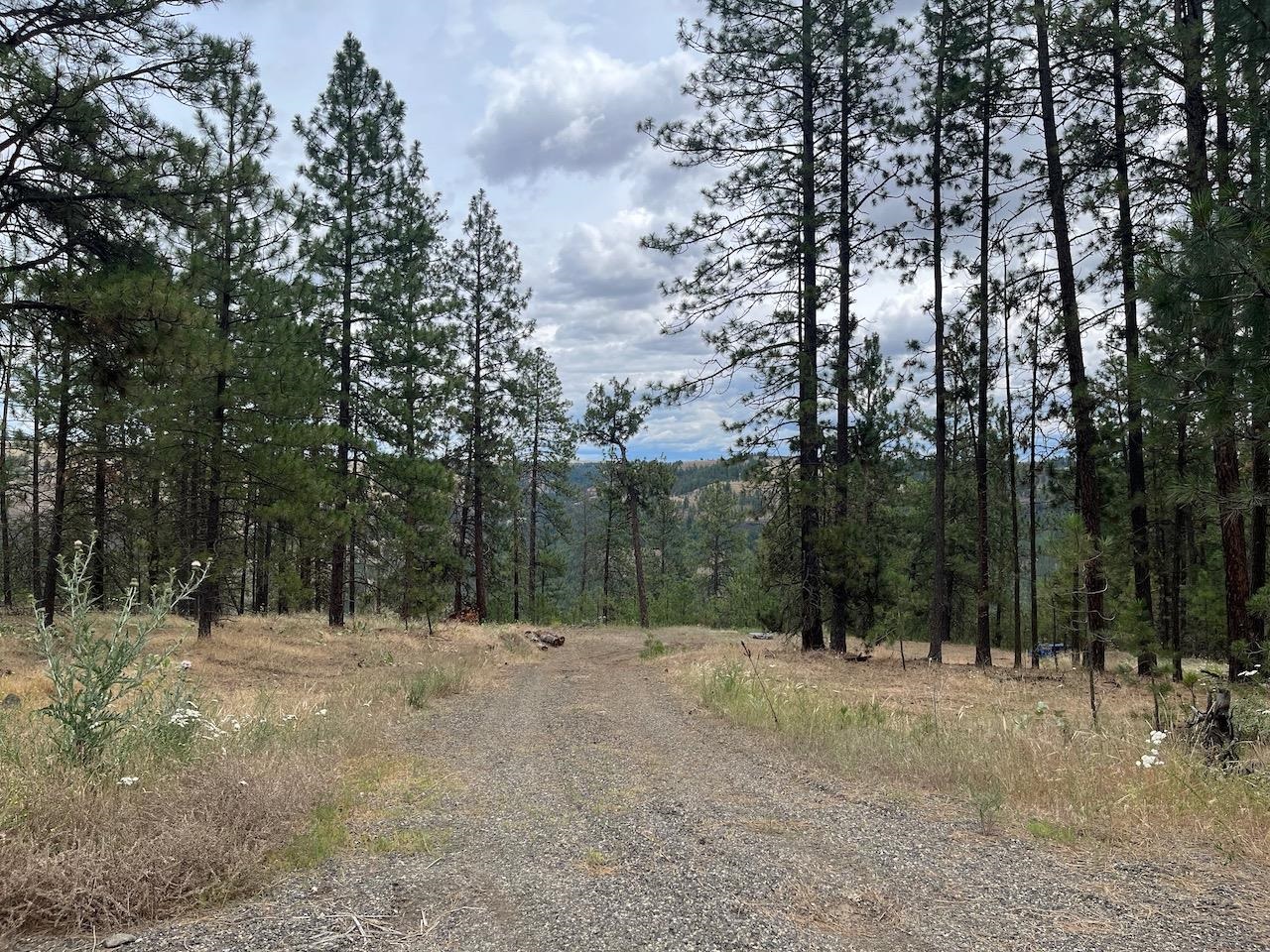 31676 Sontag Ridge E Dr - Photo 1