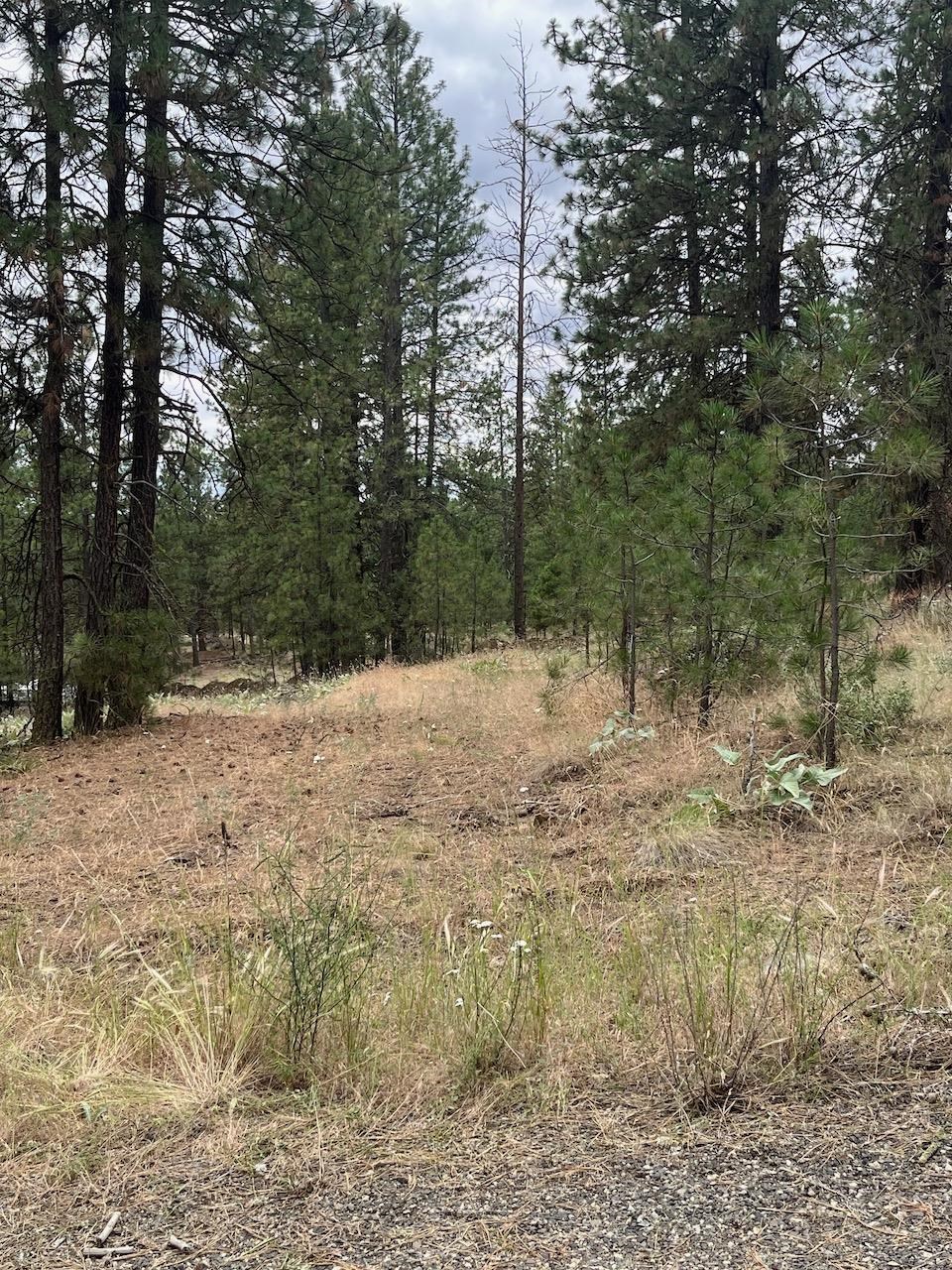 31676 Sontag Ridge E Dr - Photo 3