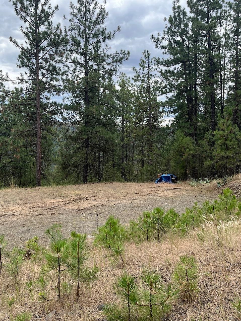 31676 Sontag Ridge E Dr - Photo 6