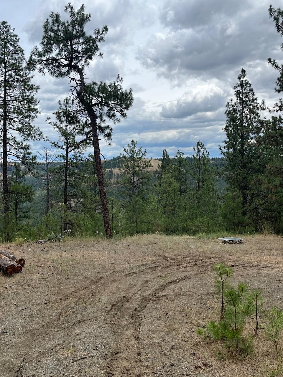 31676 Sontag Ridge E Dr - Photo 7