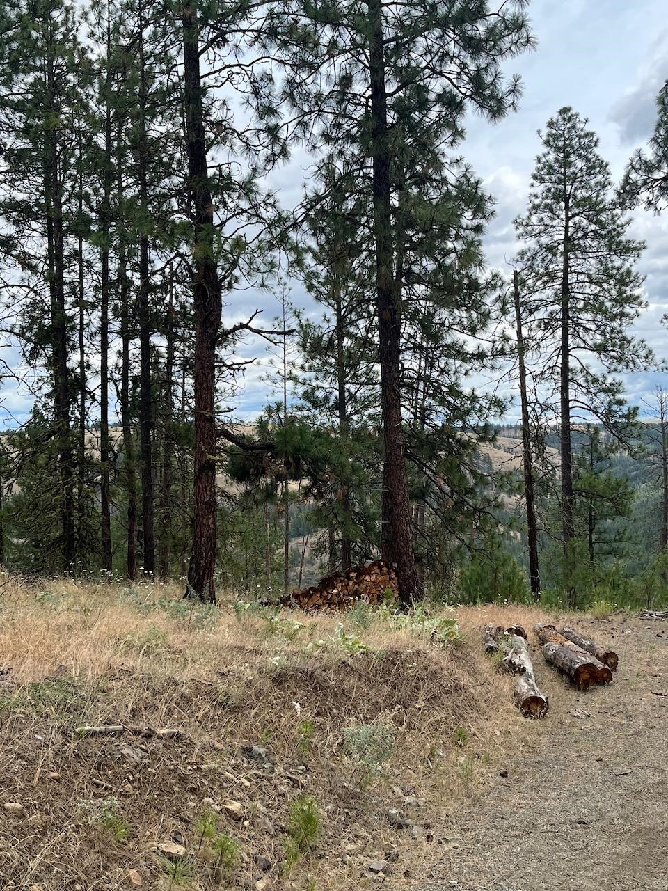 31676 Sontag Ridge E Dr - Photo 8