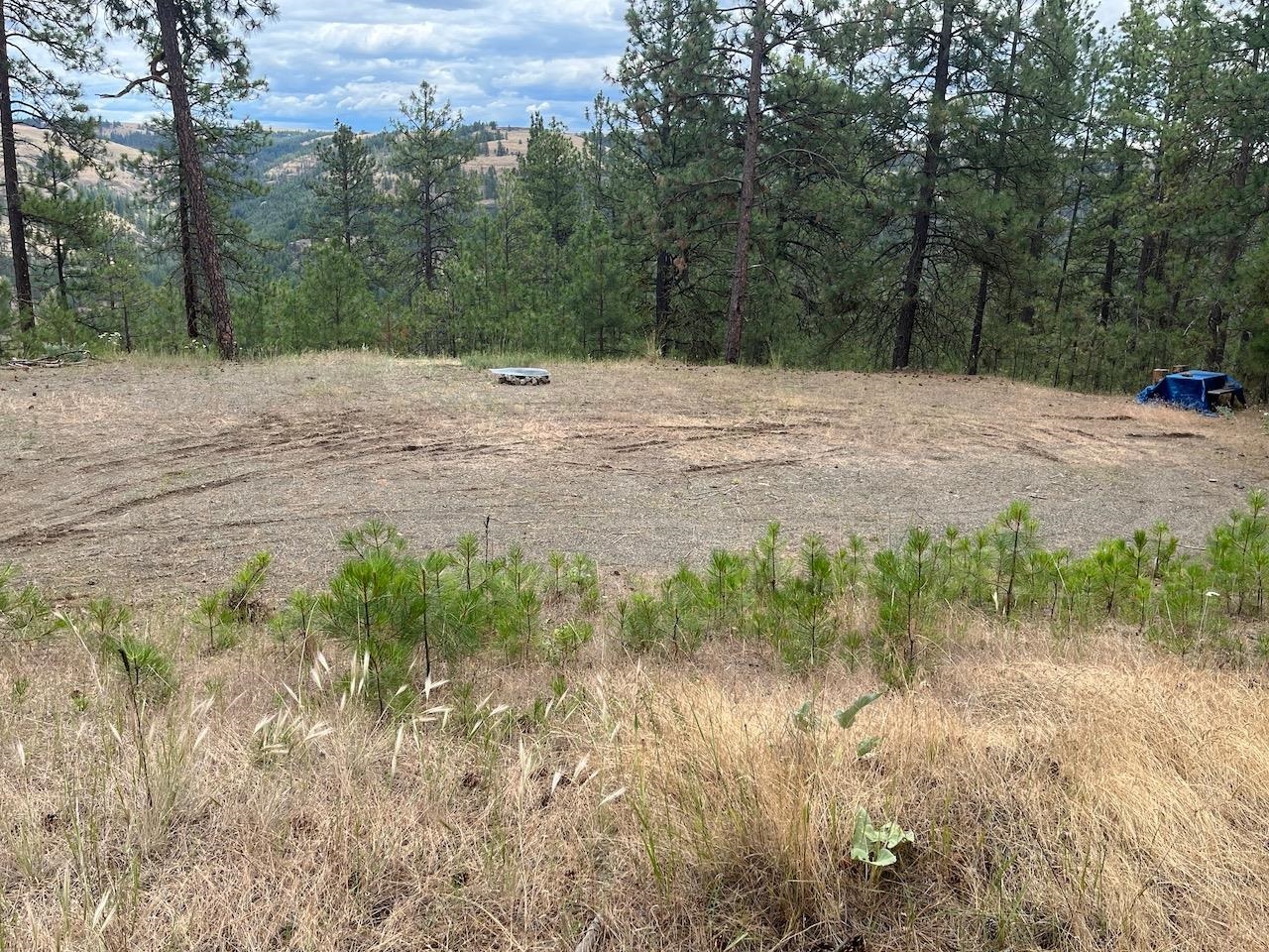 31676 Sontag Ridge E Dr - Photo 11