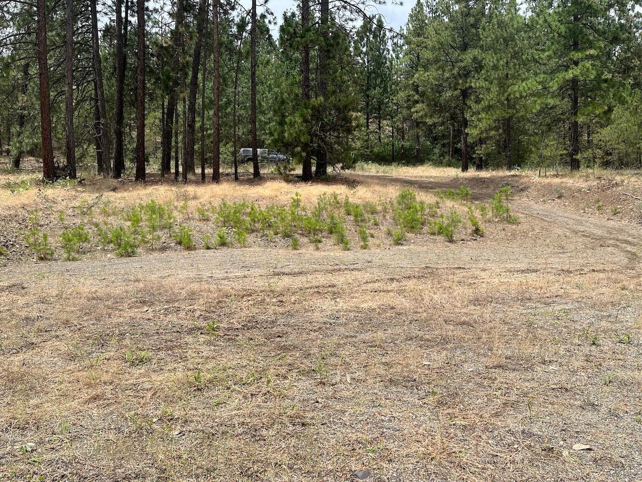 31676 Sontag Ridge E Dr - Photo 13