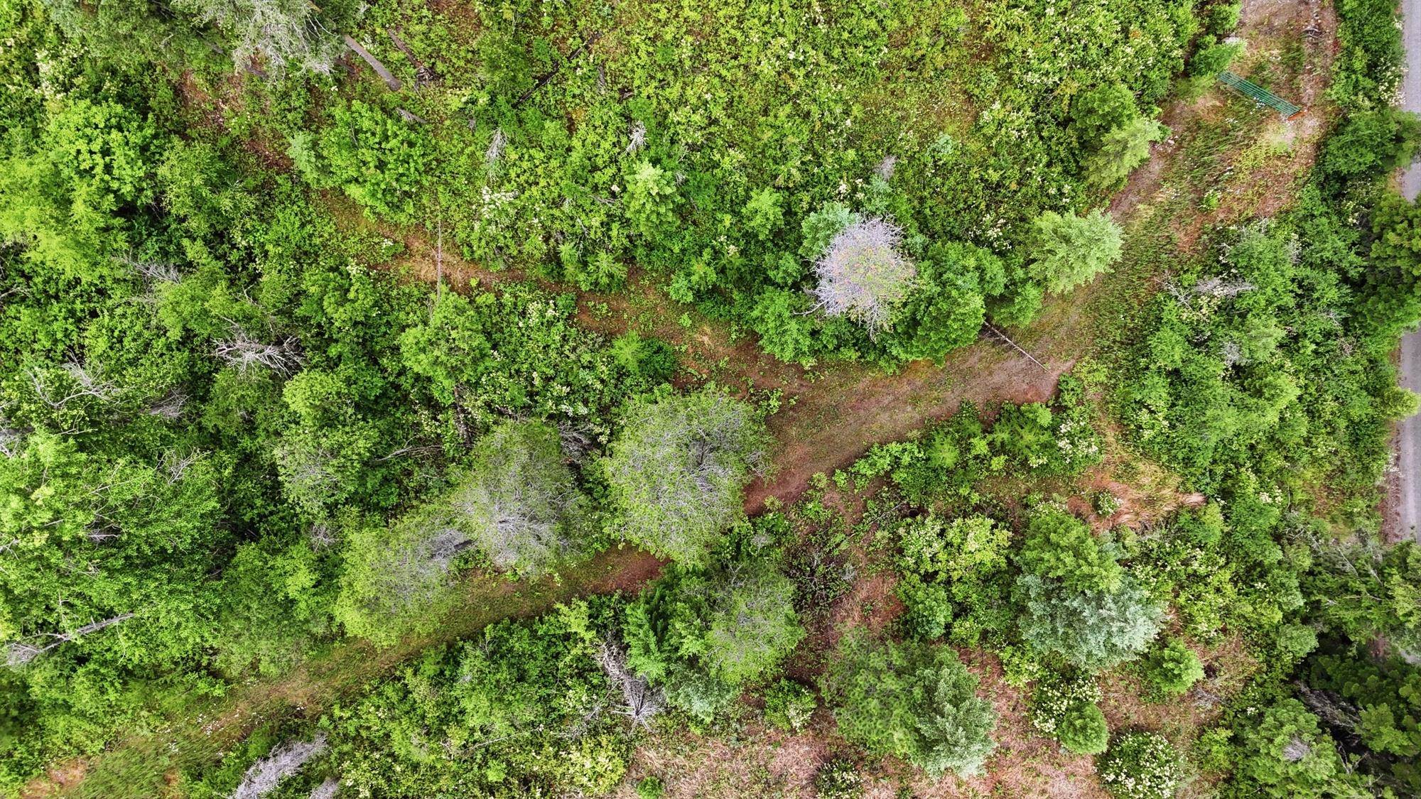 42700 N Hatch Rd - Photo 8