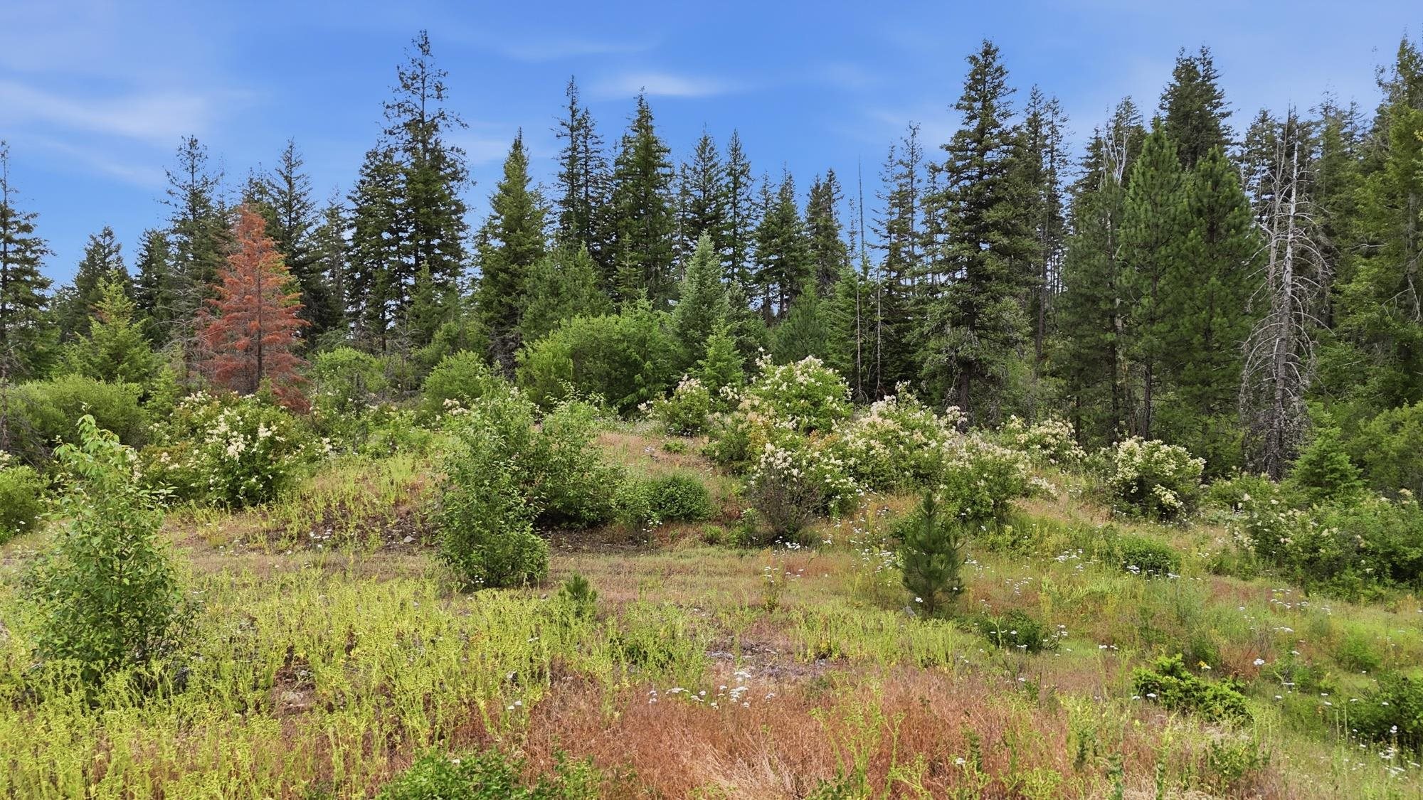 42700 N Hatch Rd - Photo 10