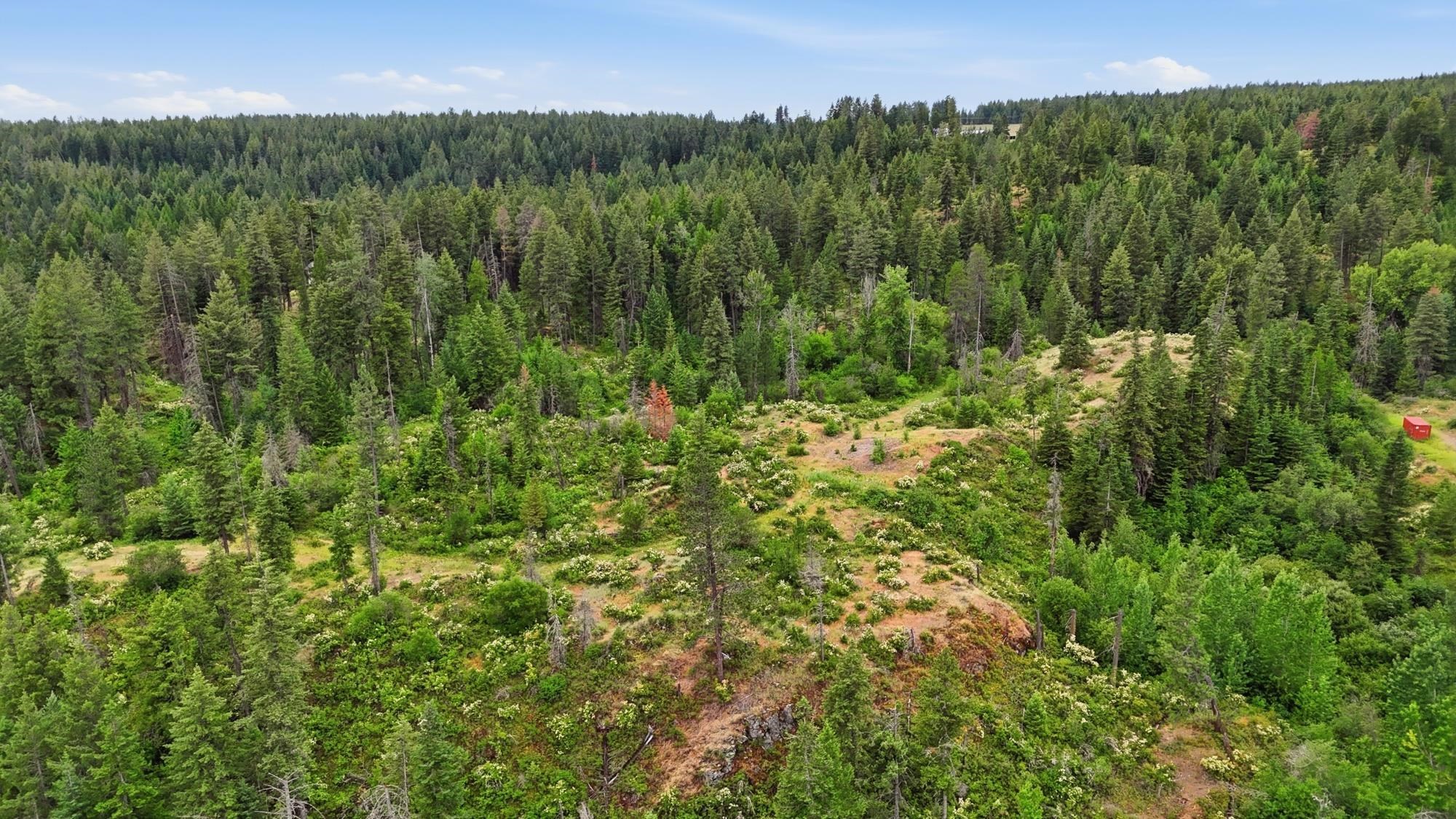 42700 N Hatch Rd - Photo 11