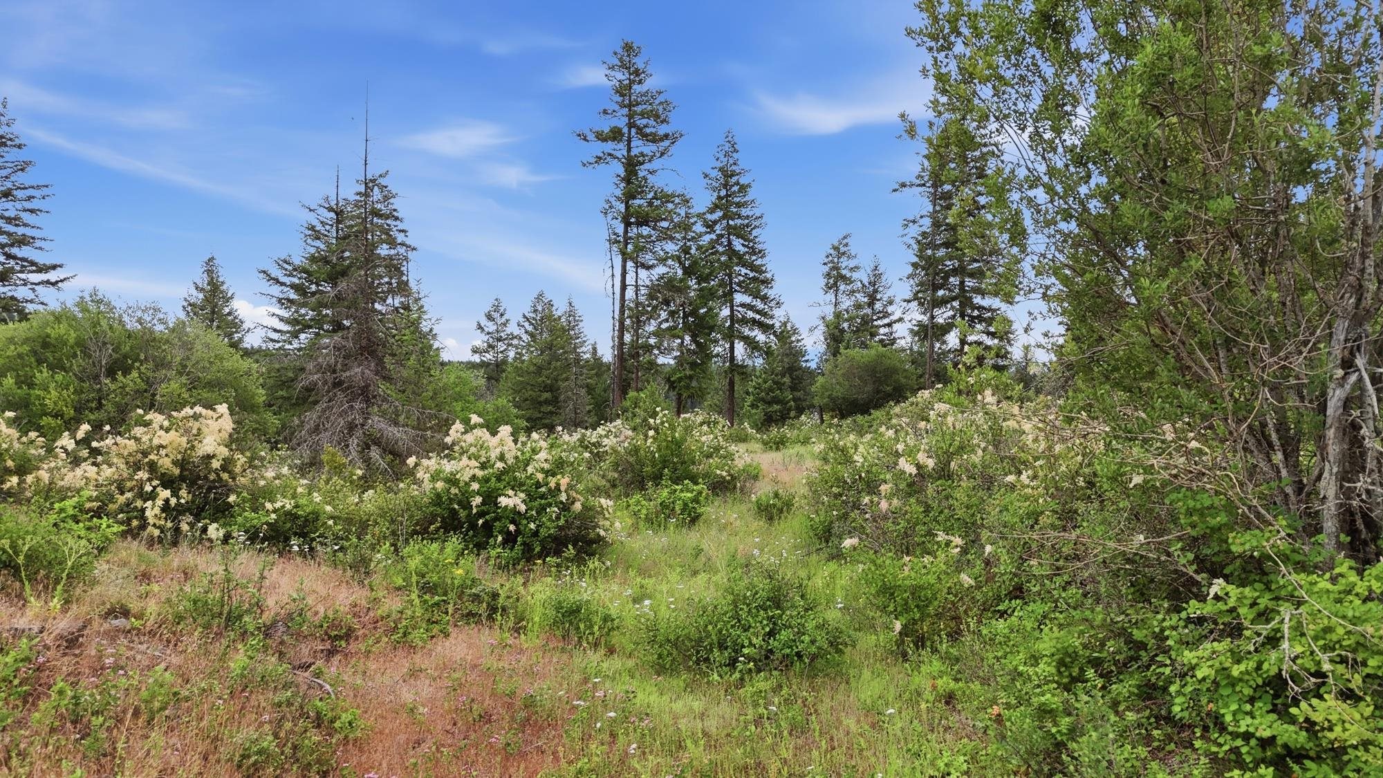 42700 N Hatch Rd - Photo 15