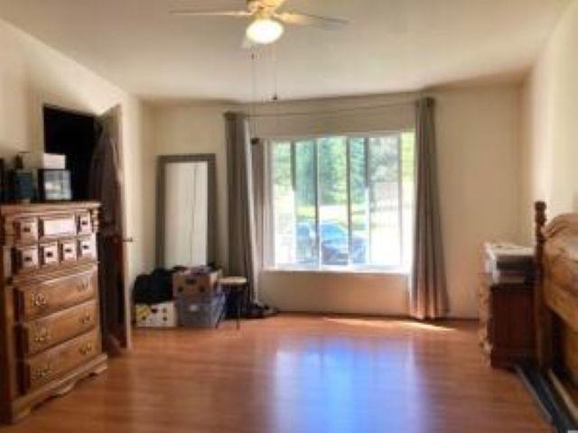3641 Hill Loop Rd - Photo 18