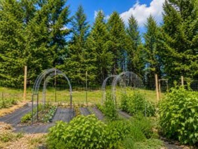 3641 Hill Loop Rd - Photo 48