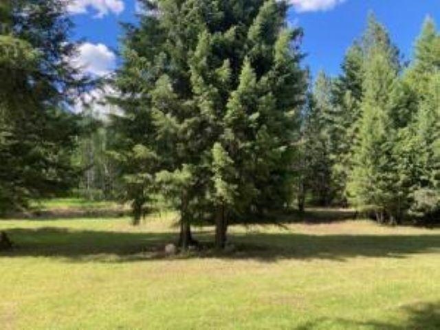 3641 Hill Loop Rd - Photo 49