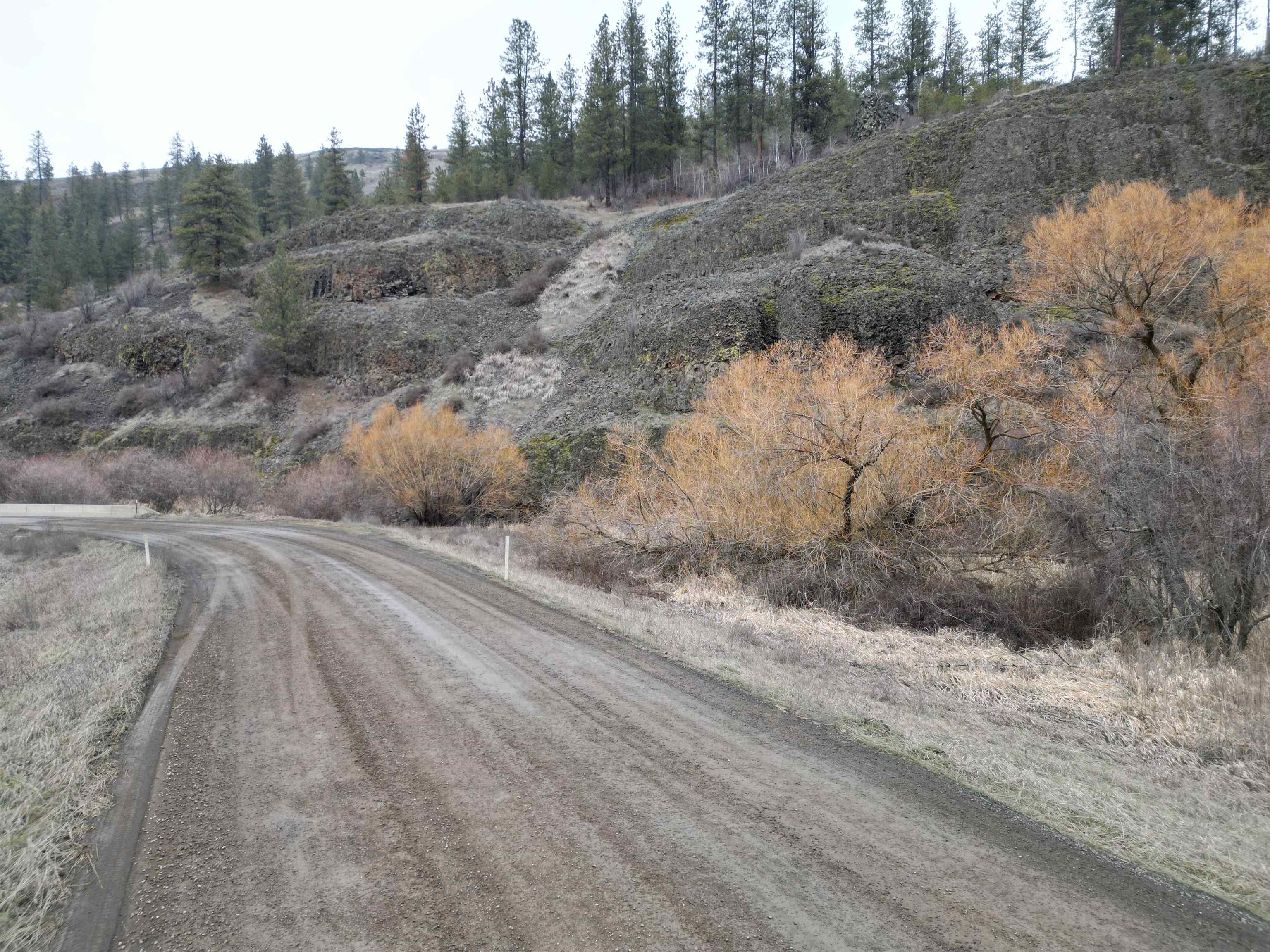 33055 Hawk Creek Ranch Rd N Rd - Photo 2