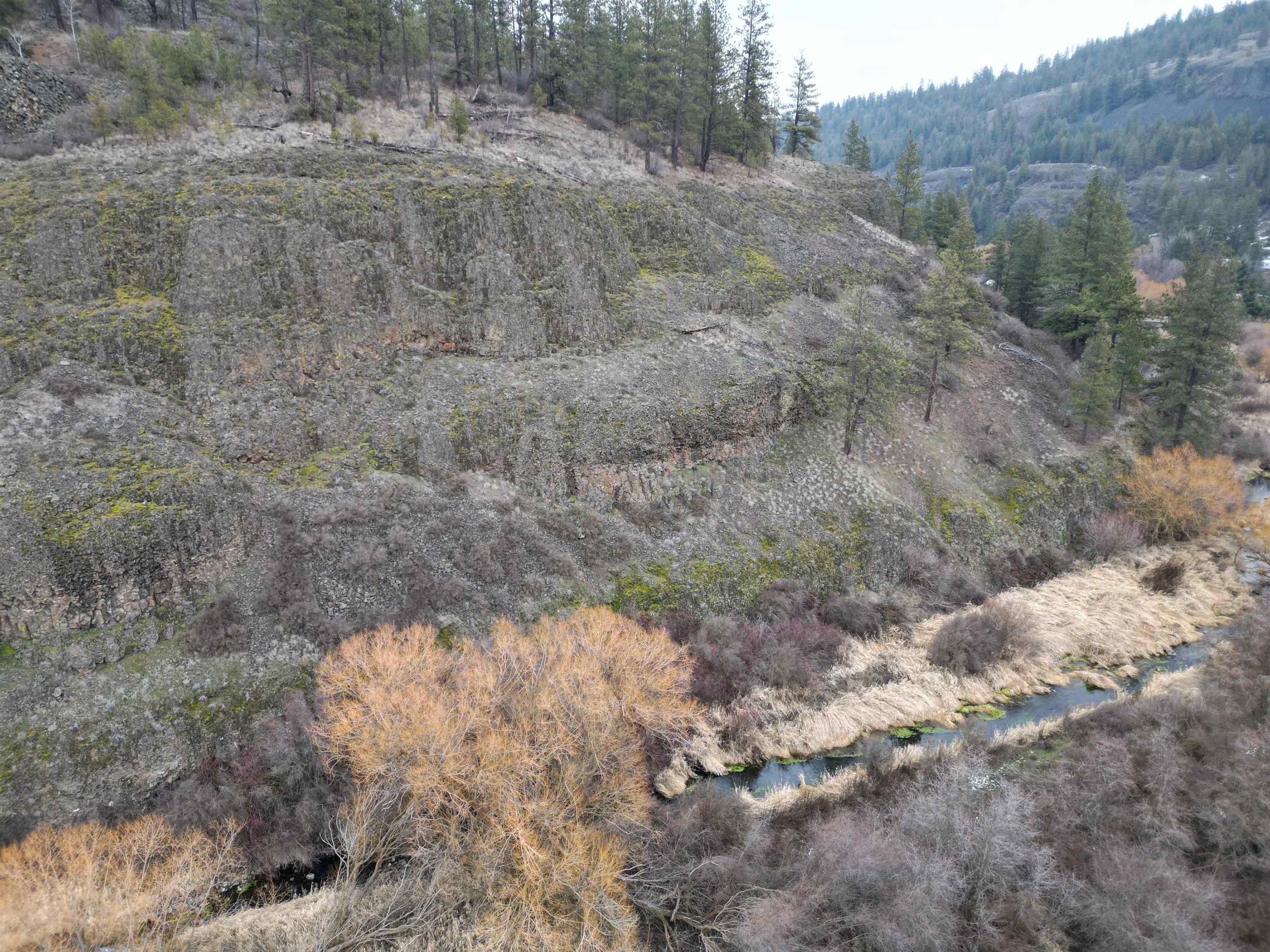 33055 Hawk Creek Ranch Rd N Rd - Photo 3