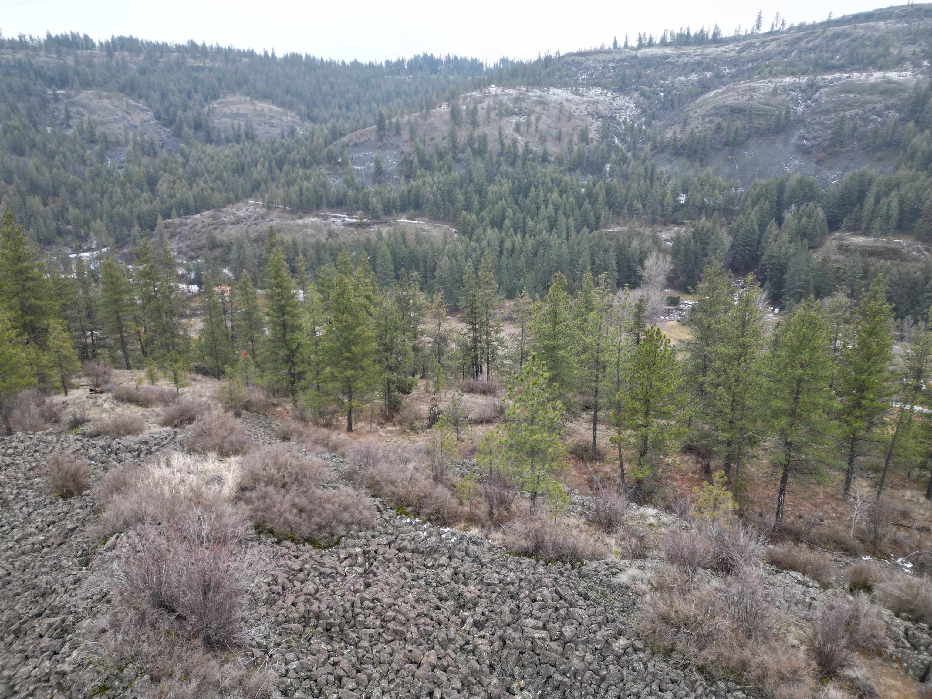 33055 Hawk Creek Ranch Rd N Rd - Photo 4