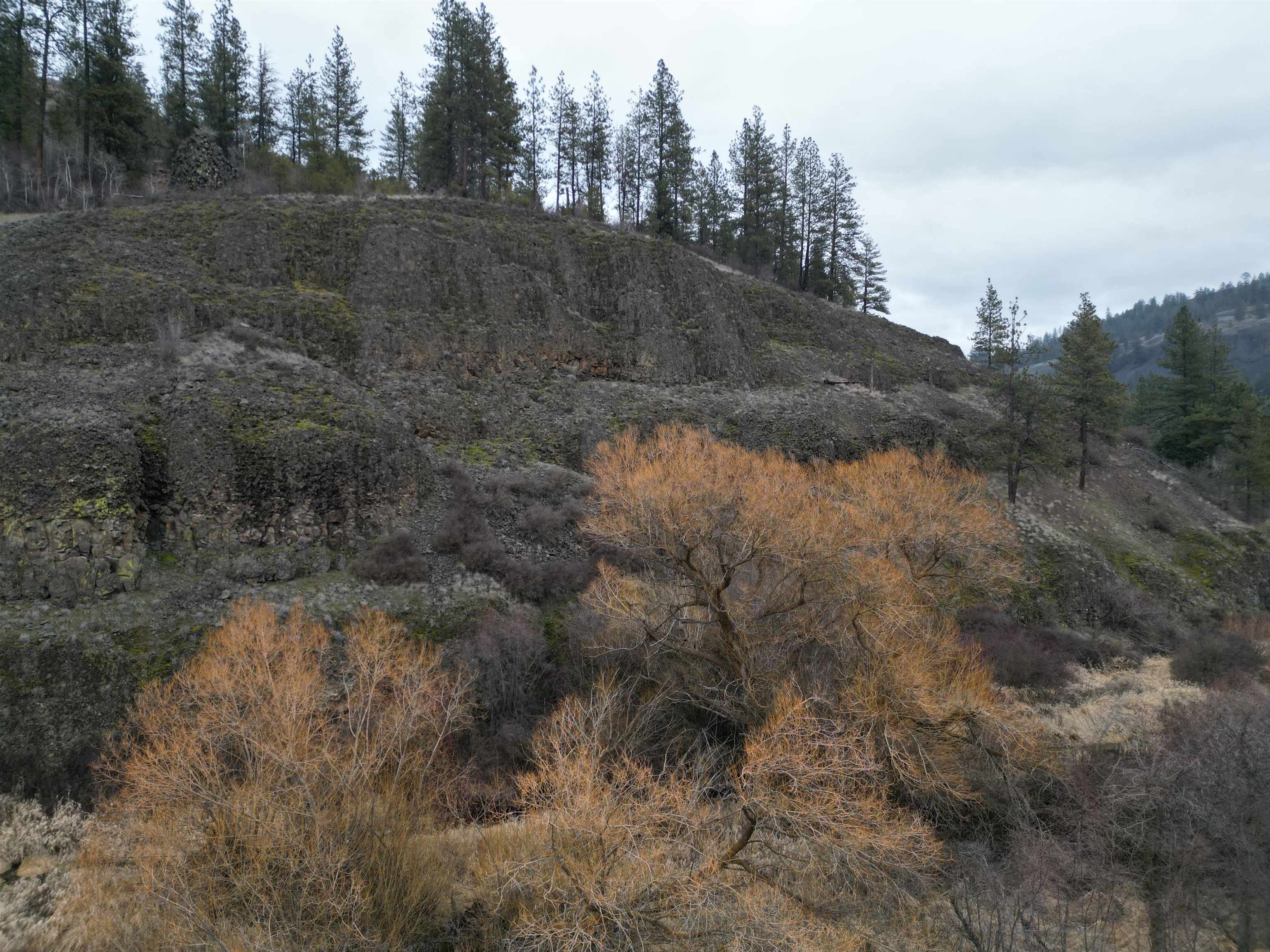 33055 Hawk Creek Ranch Rd N Rd - Photo 7