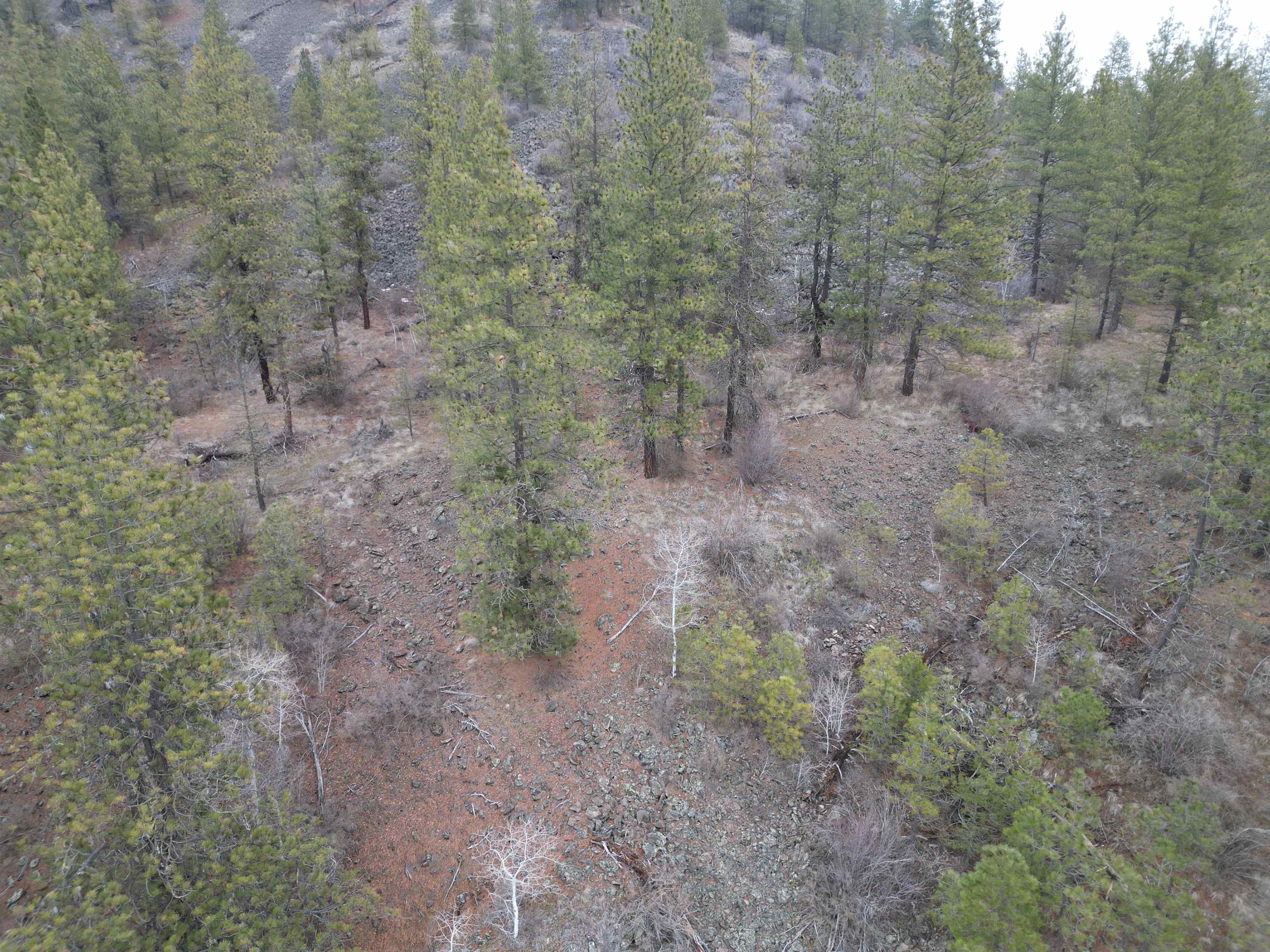 33055 Hawk Creek Ranch Rd N Rd - Photo 9